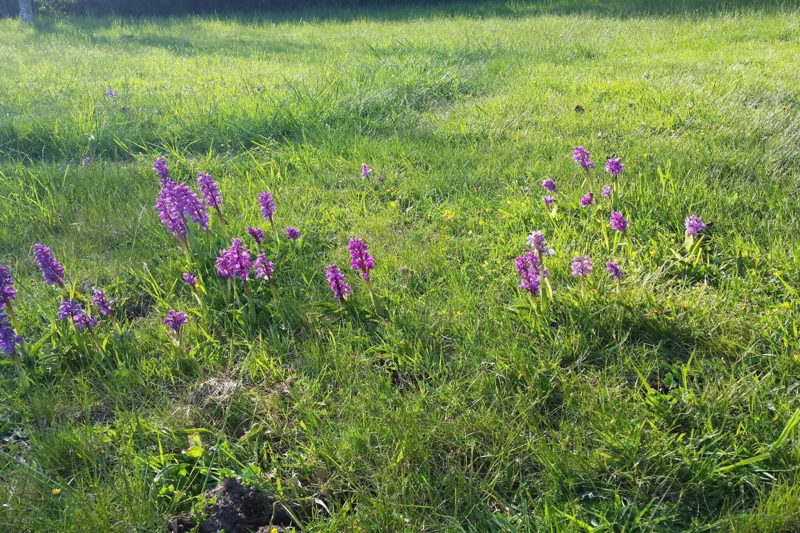Maison de vacances pour 6 a Löttorp-Non tagué