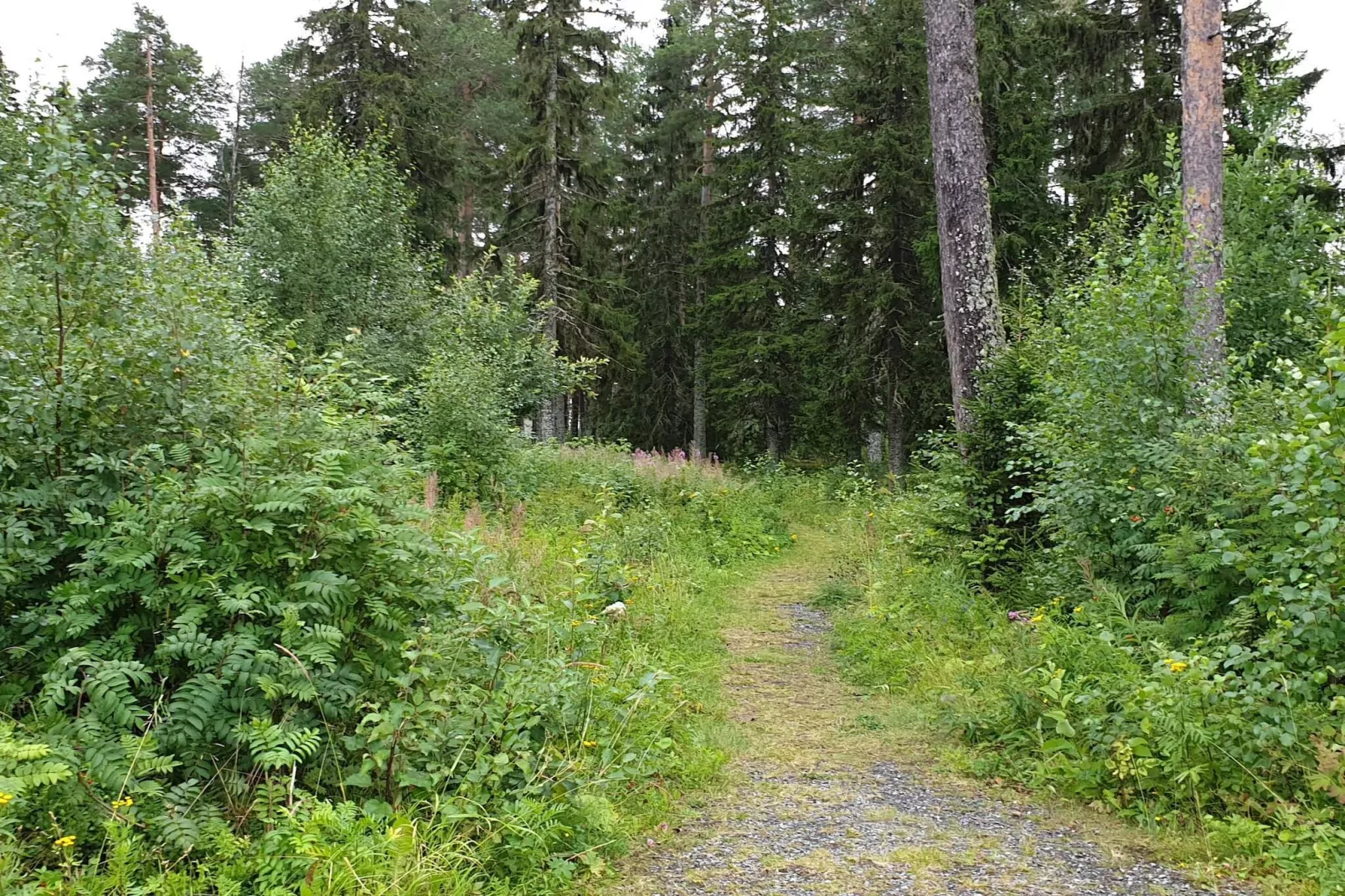 Rotes Bauernhaus in der Nähe von Forsheda-Nicht zugeordnet