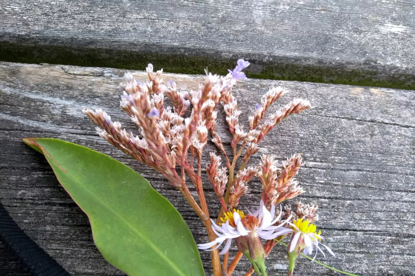 Maison de vacances pour 6 a Læsø-By Traum