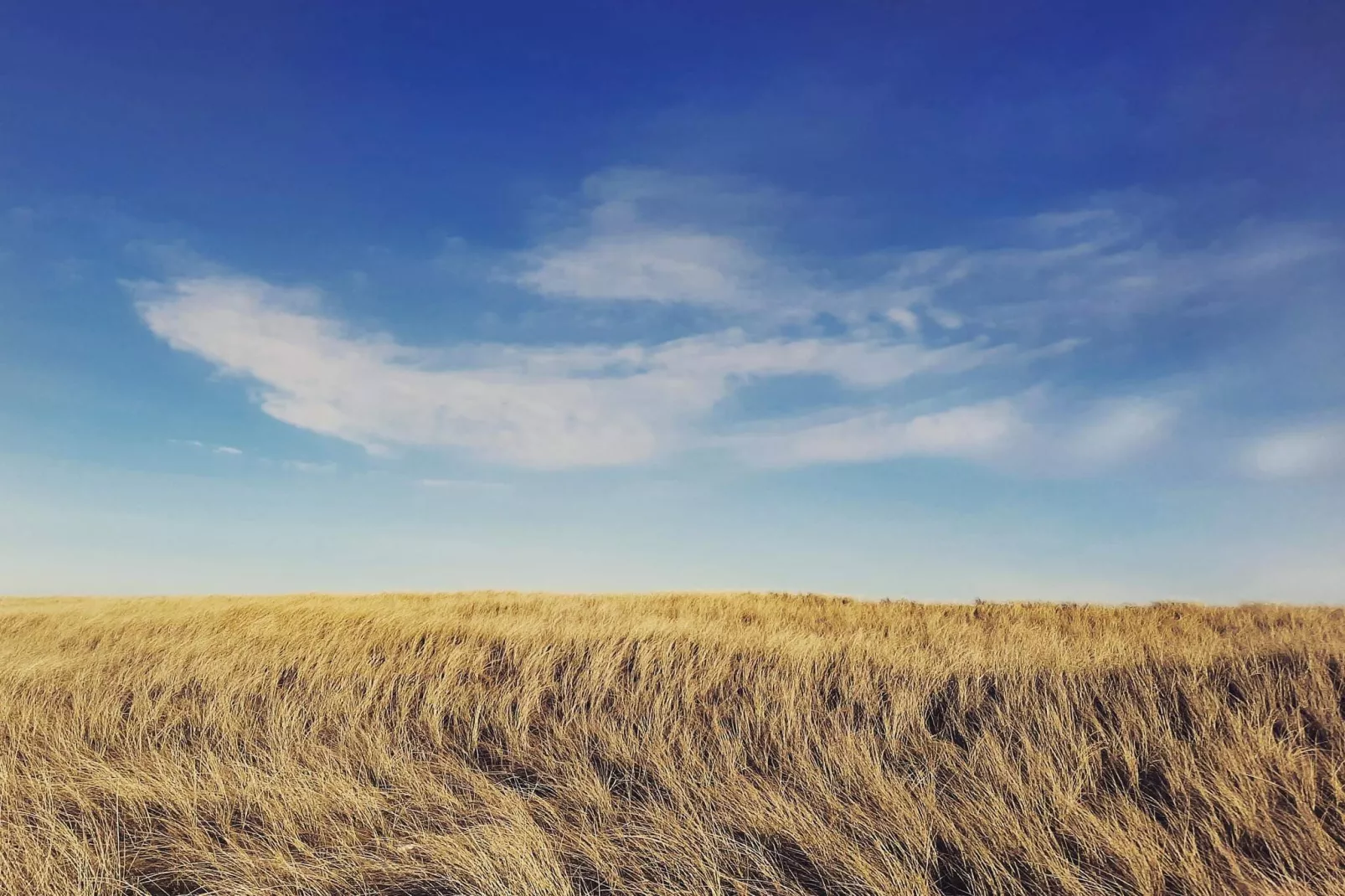 Maison de vacances pour 8 a Frøstrup-By Traum