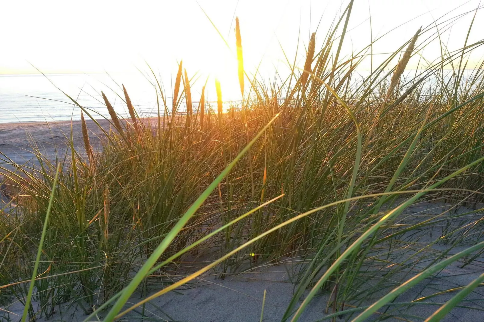 Maison de vacances pour 6 a Hirtshals-By Traum