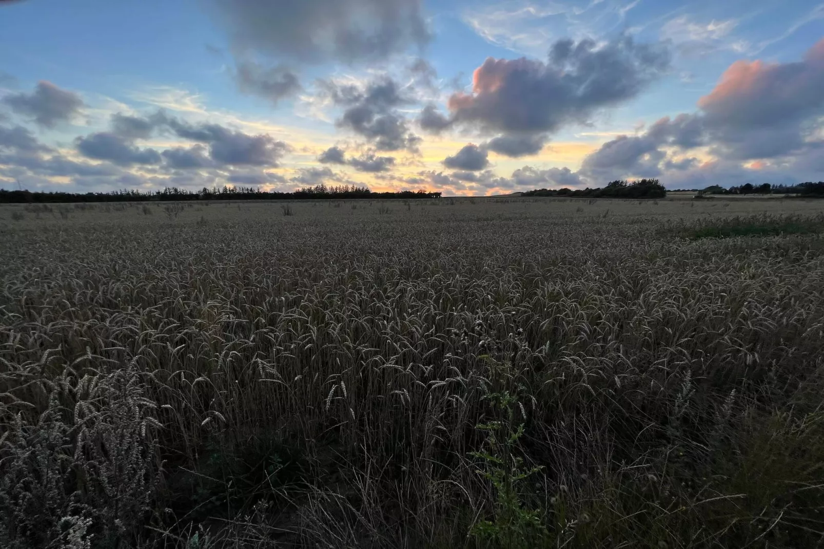 5 Personen Ferienhaus in Henne-By Traum-Nicht zugeordnet