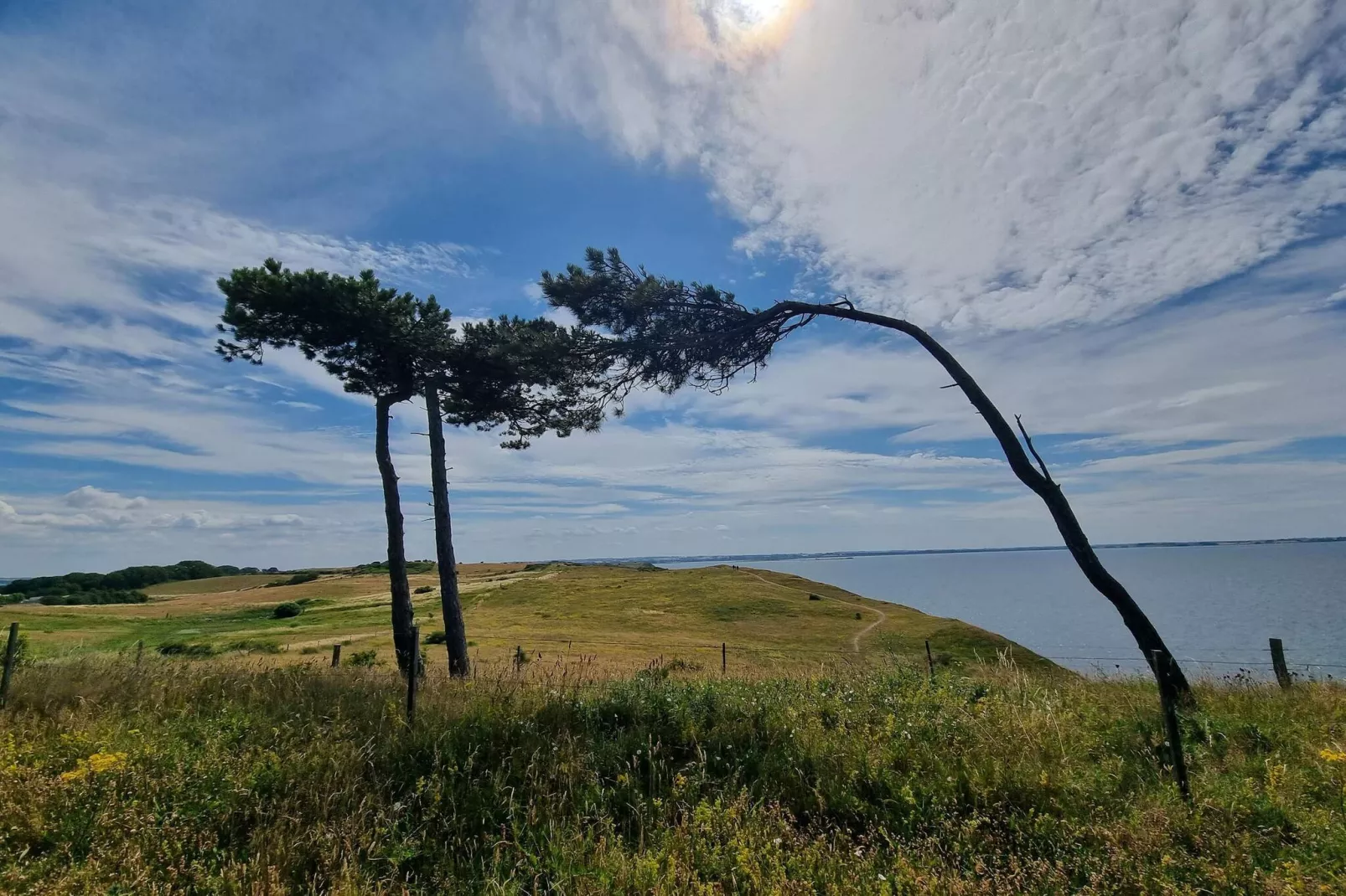 4 Personen Ferienhaus in Føllenslev-By Traum