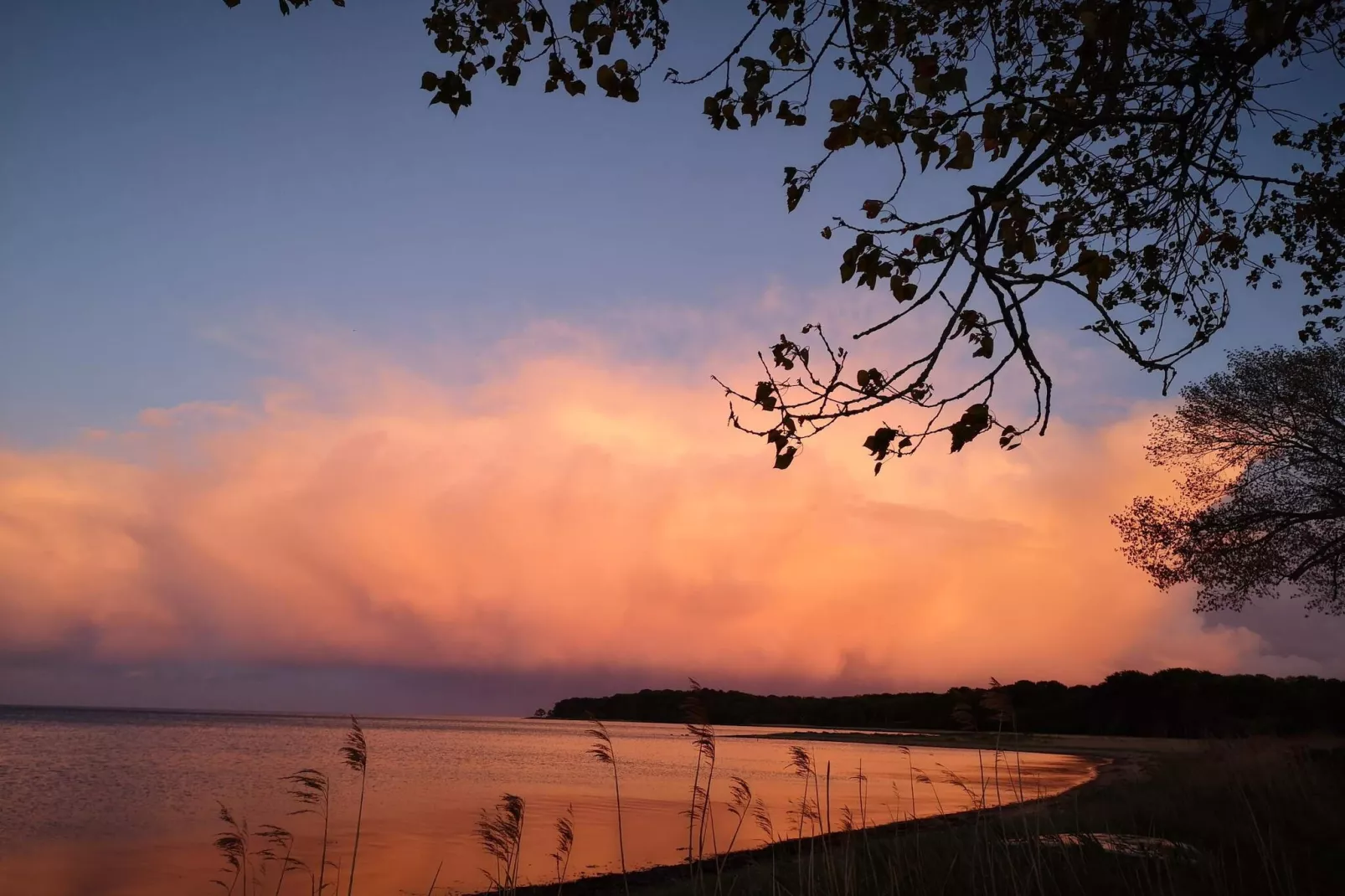 Maison de vacances pour 7 a Juelsminde-Vue sur l'eau