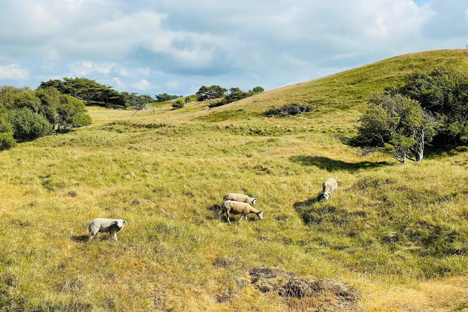 Retraite de luxe avec piscine -- By Traum Ferienwohnungen