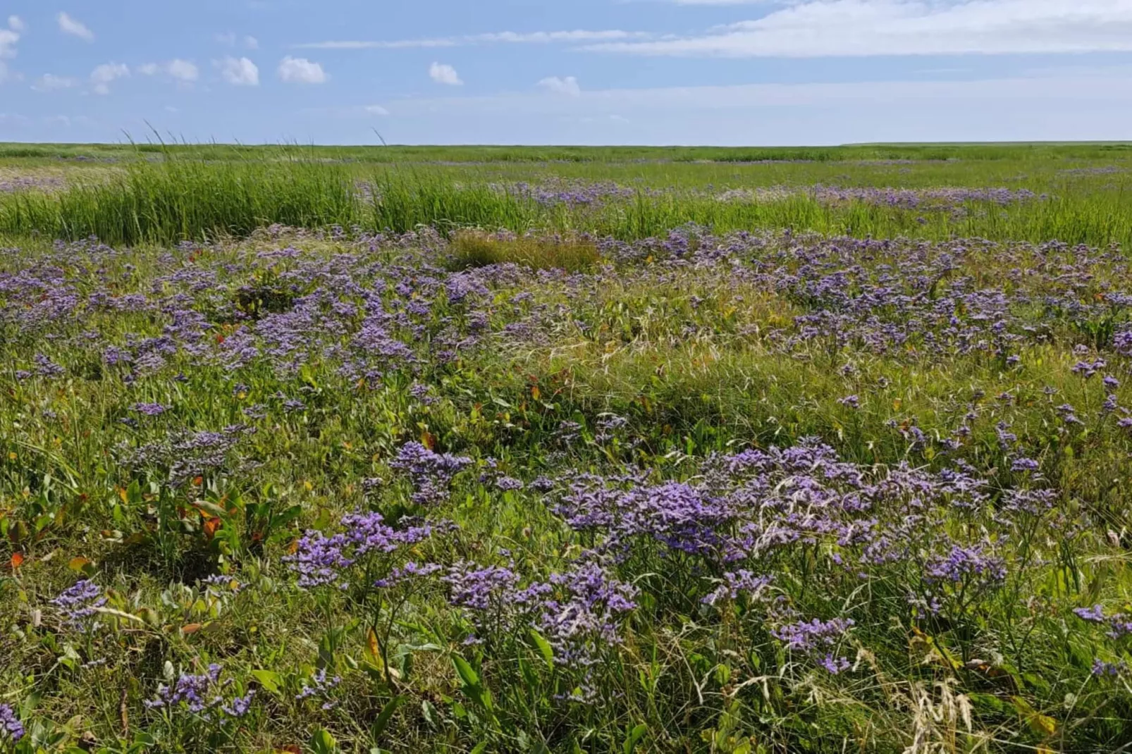 Charmante Ruckzug auf Mando -- By Traum Ferienwohnungen-Nicht zugeordnet