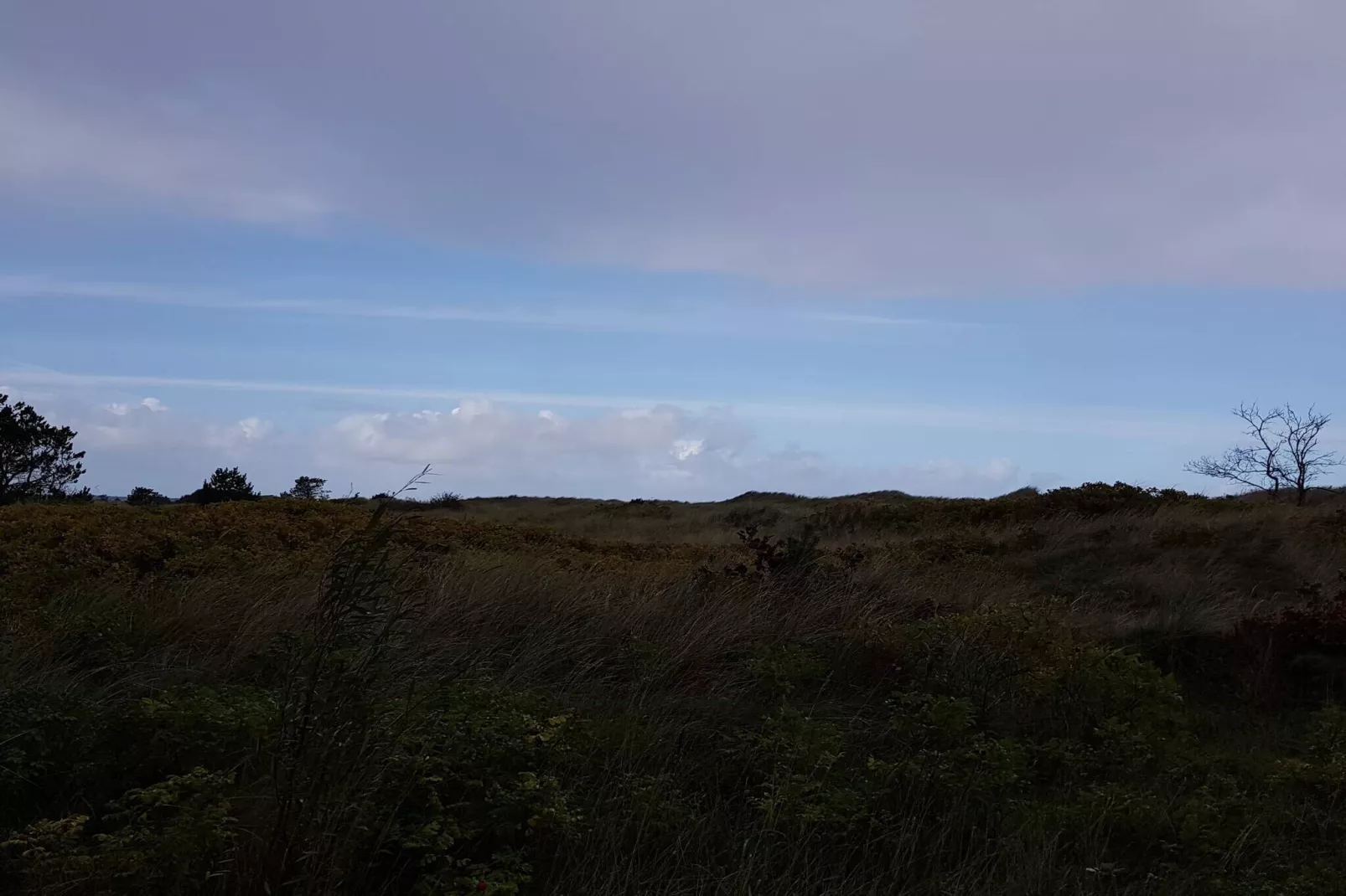 8 person holiday home in Jerup