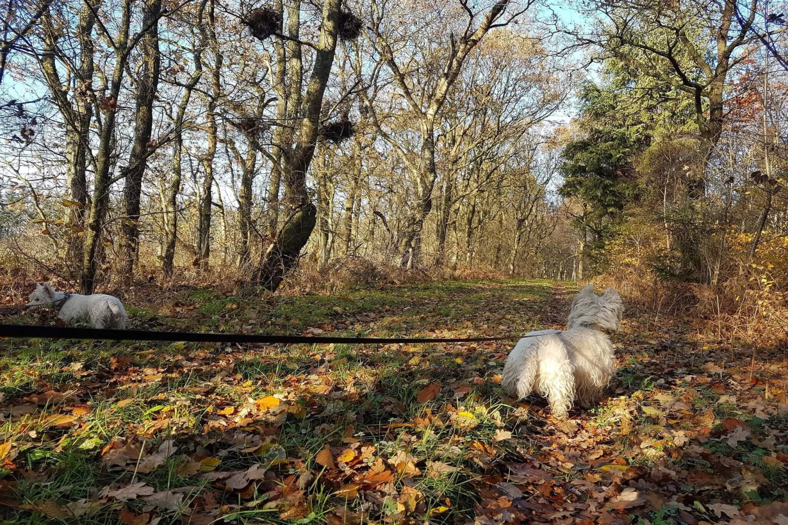 4 Personen Ferienhaus in Toftlund-By Traum-Nicht zugeordnet