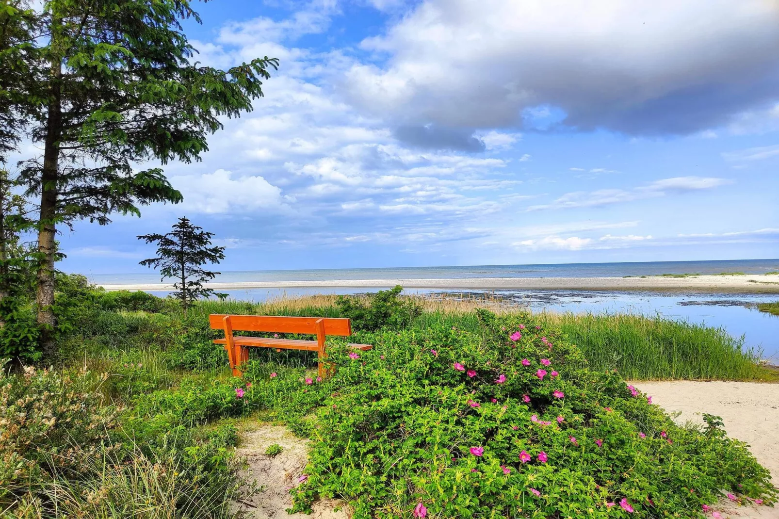 9 person holiday home in Hals-By Traum-Untagged