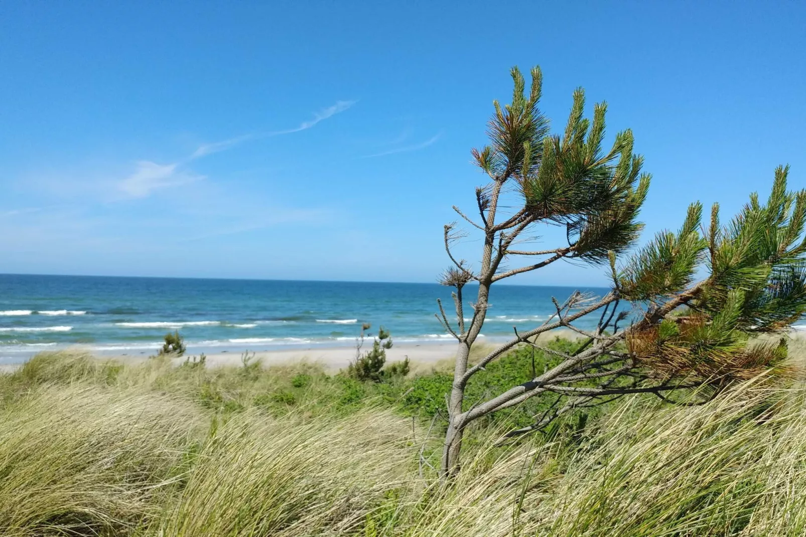 Maison de vacances pour 8 a Rørvig-By Traum-Non tagué