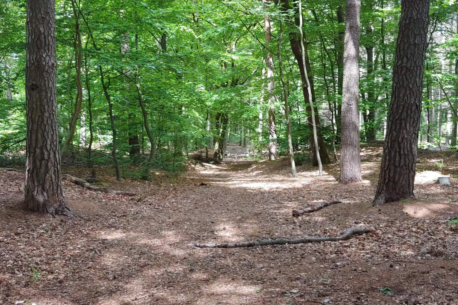 Luxus-Ruckzug mit Pool -- By Traum Ferienwohnungen