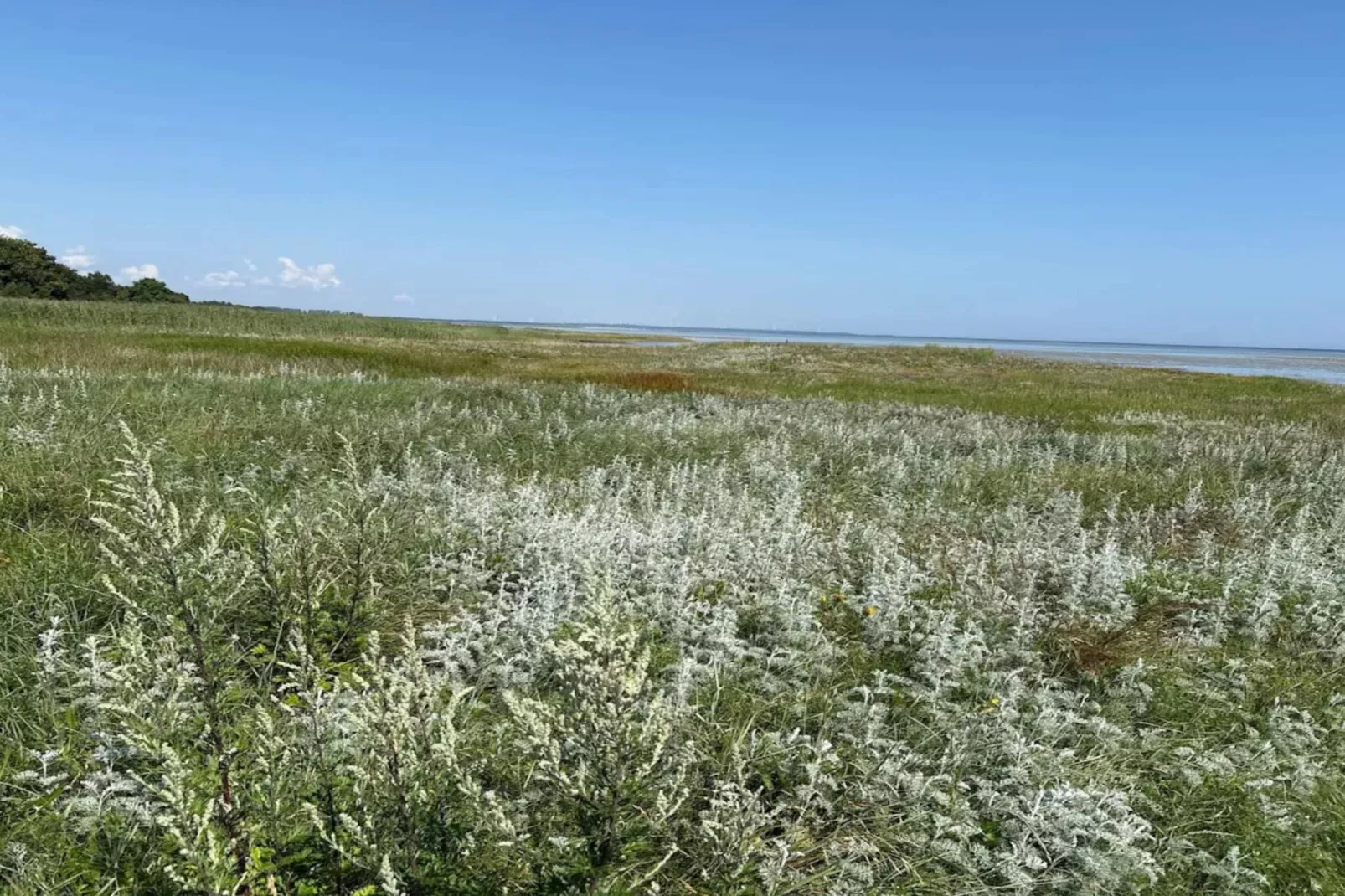 11 Personen Ferienhaus in Ørsted-By Traum
