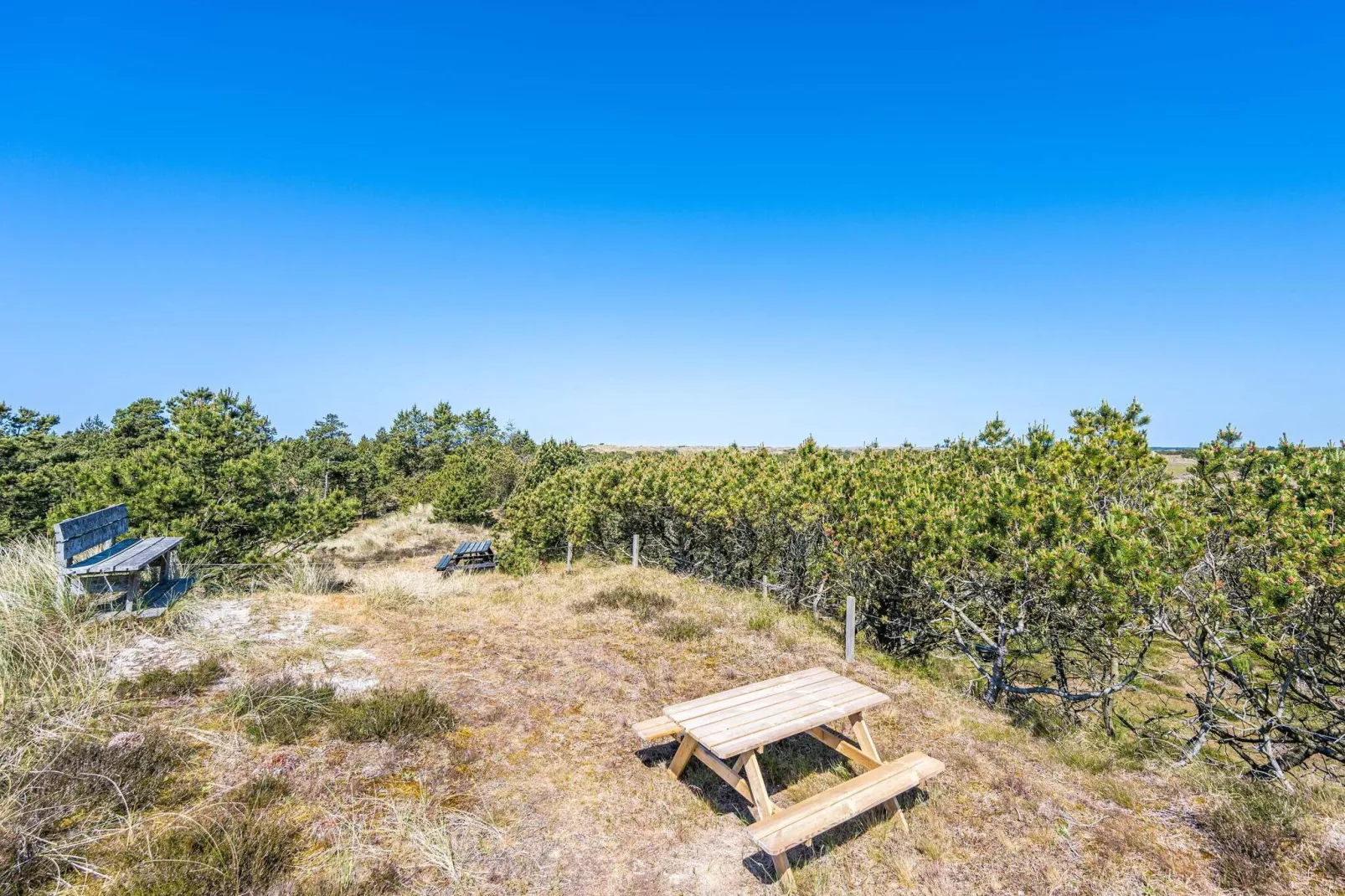 4 person holiday home in Blåvand-Not tagged