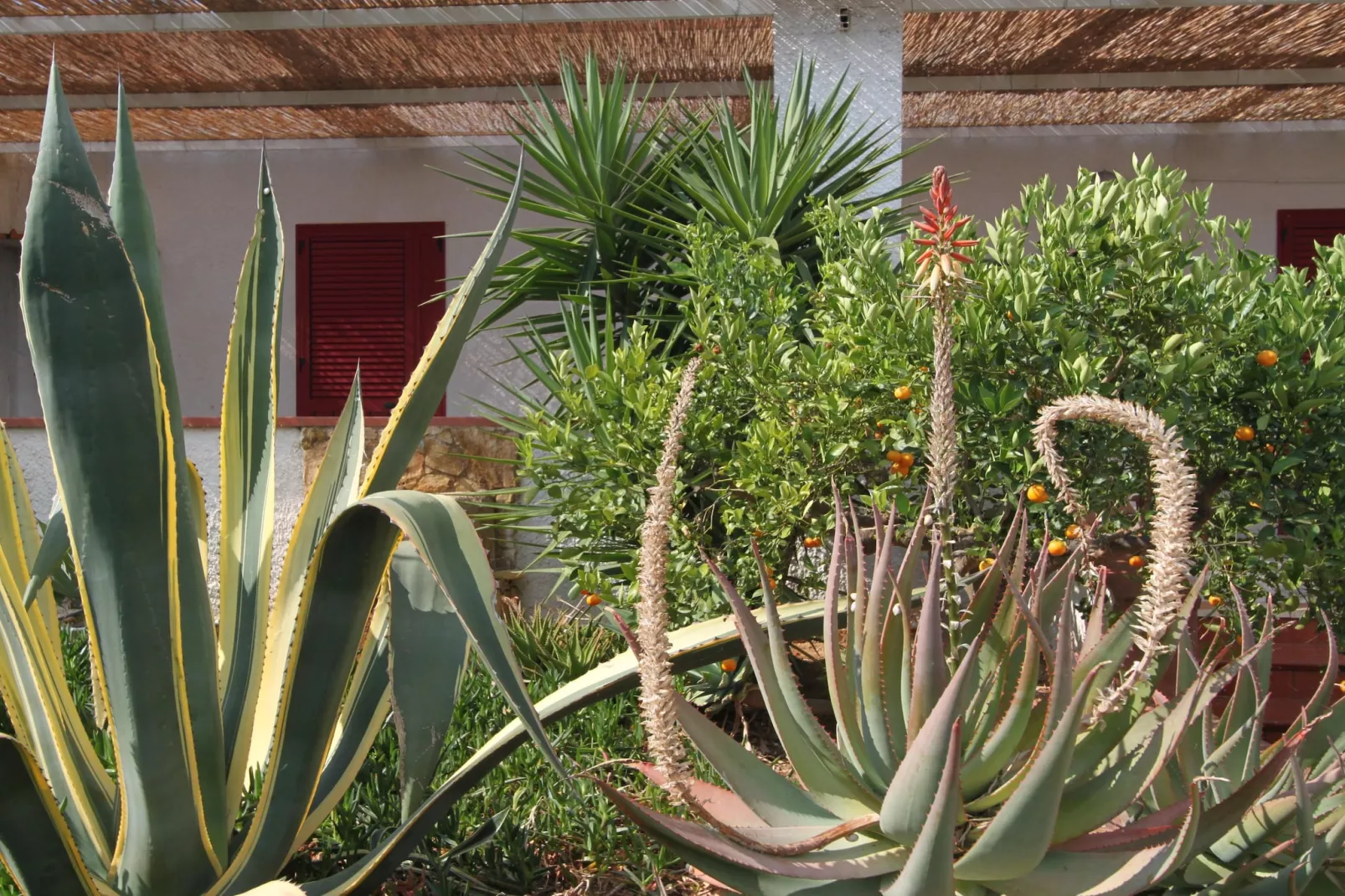 Apartments Castelvetrano-Mono La Vecchia Marina