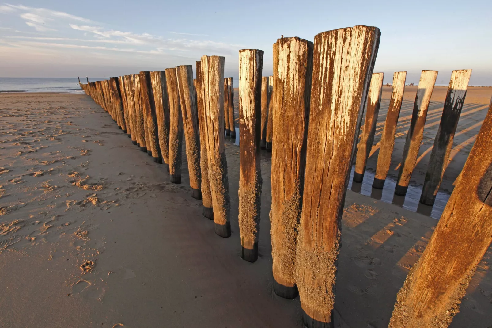 Appartement Duinhof Dishoek 13K - 6 personen de luxe-Areas within 1km in summer