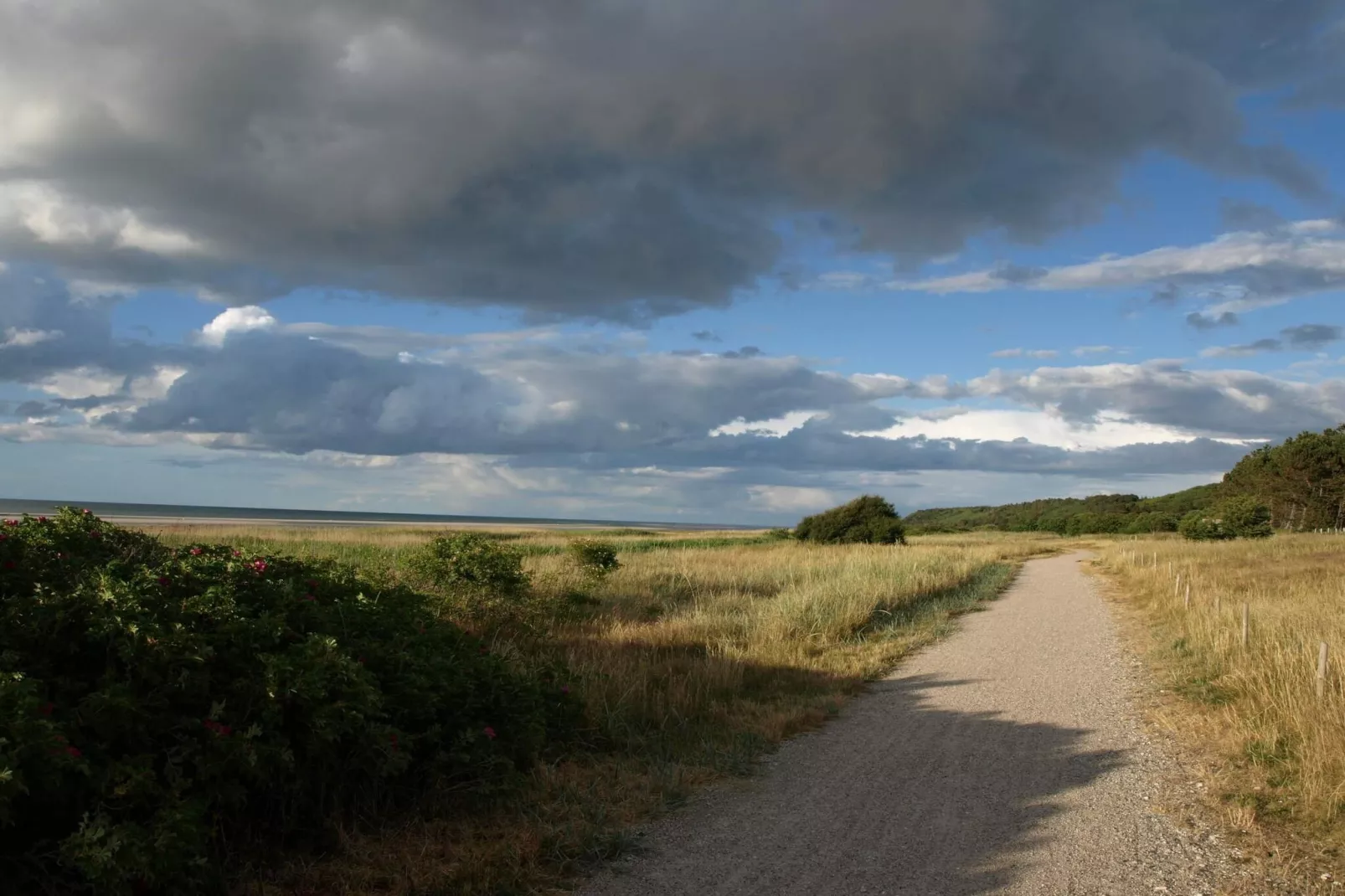 Sonniges Refugium im Hafen von Bonnerup-By Traum