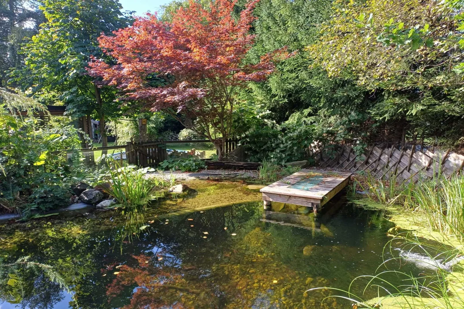 Ferienhaus-Gardens in summer