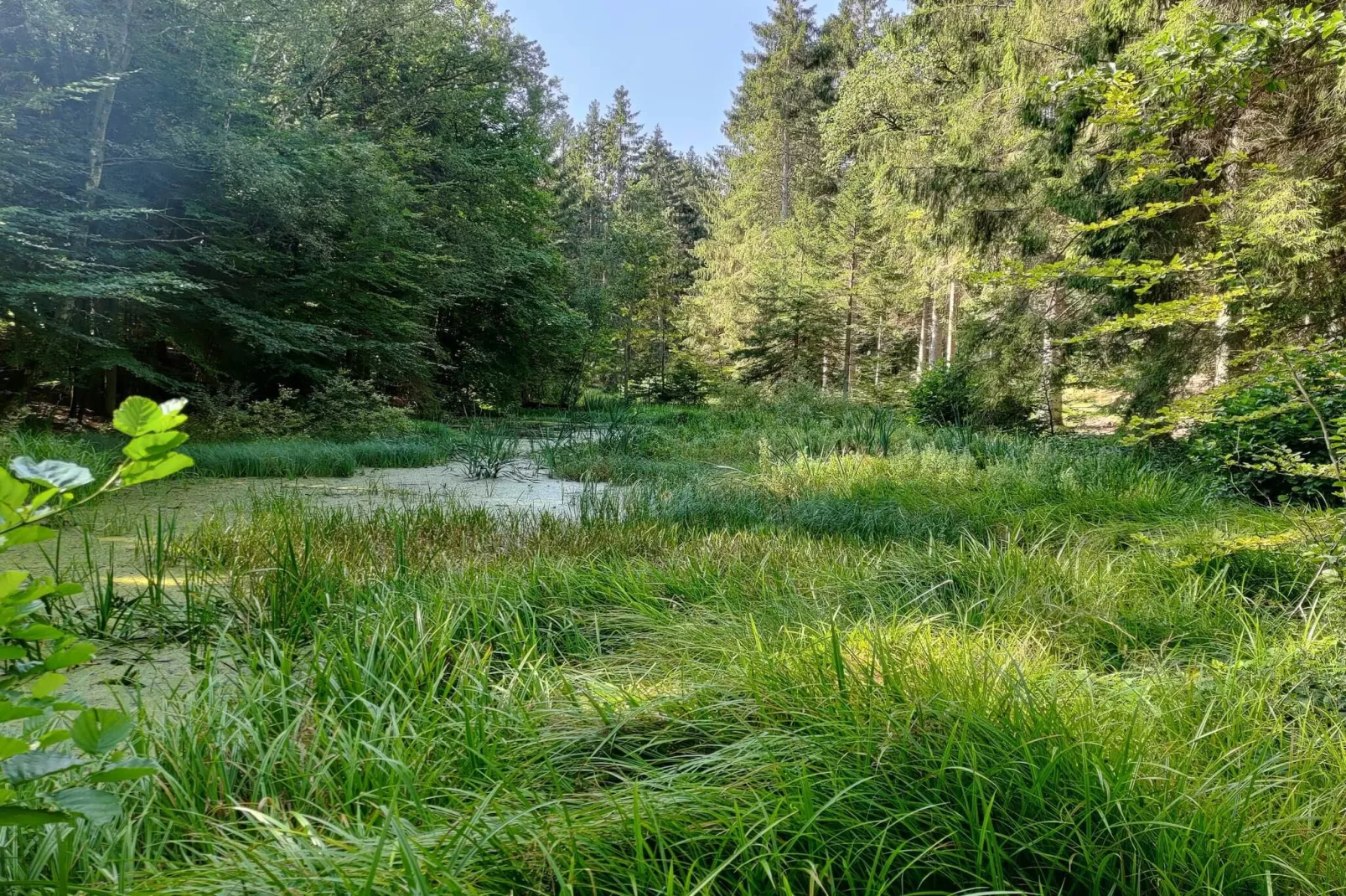Maison de vacances pour 6 a Glesborg