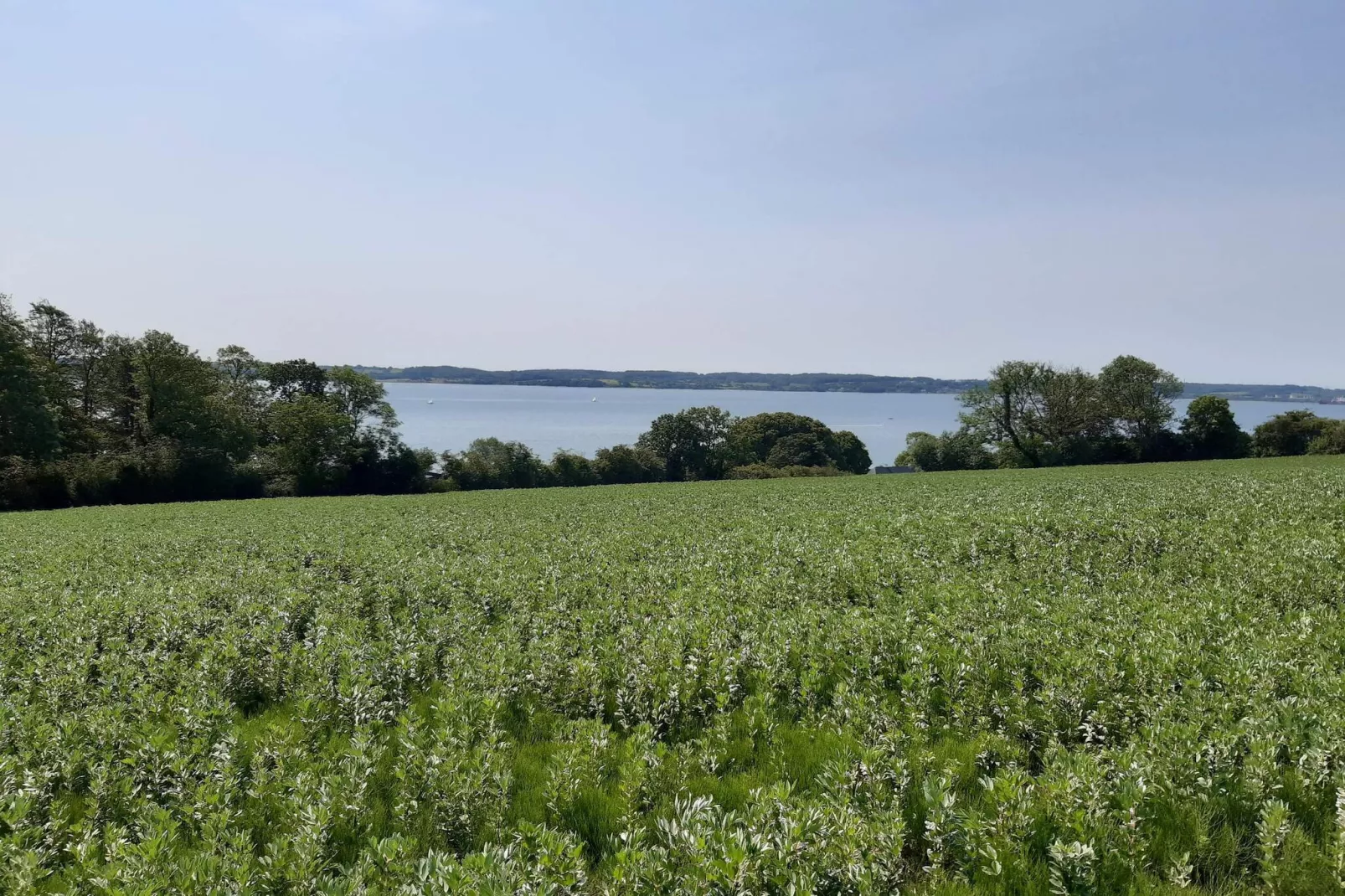 4 Personen Ferienhaus in Aabenraa-By Traum