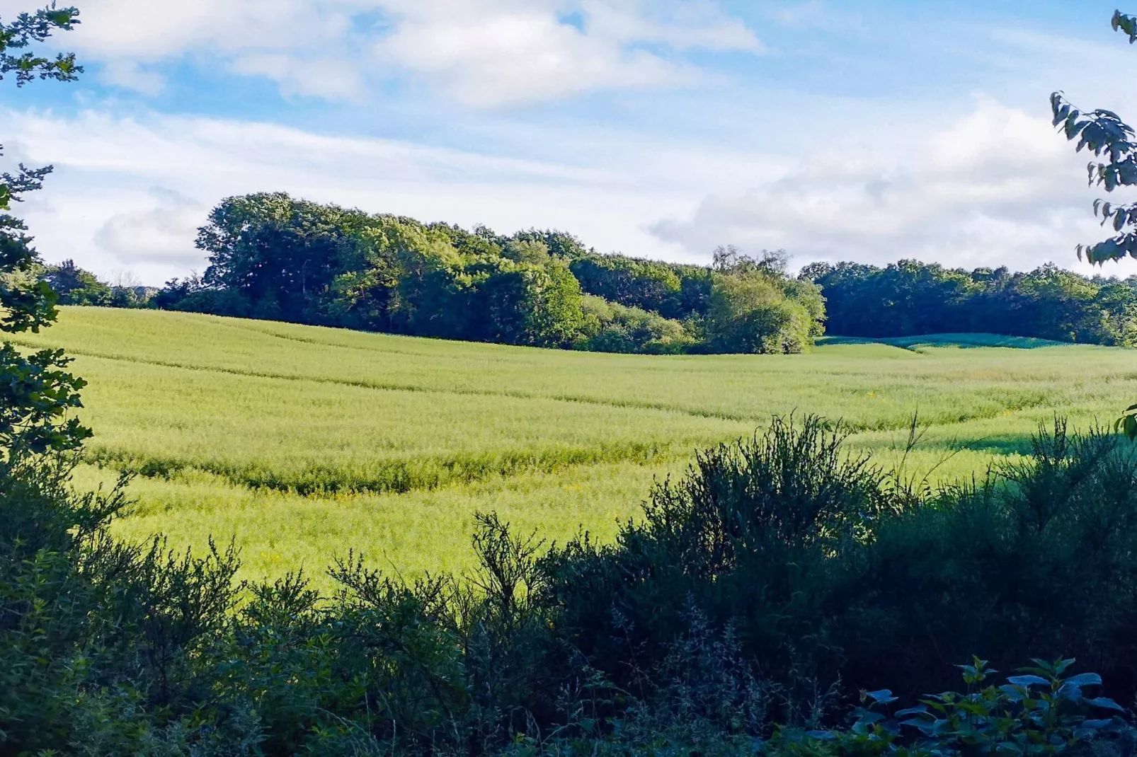 Maison de vacances pour 4 a Aars-By Traum-Non tagué