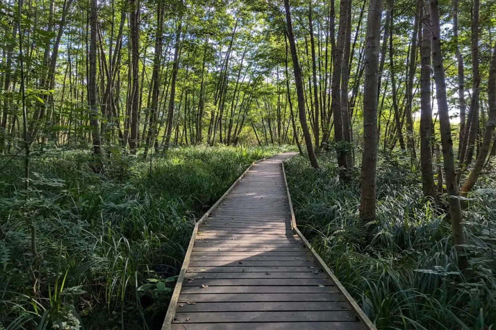 Maison de vacances pour 4 a Frederiksværk-By Traum-Non tagué