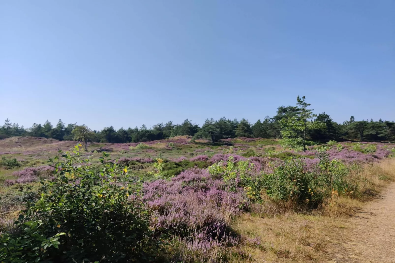 Retraite de luxe a Romo -- By Traum Ferienwohnungen