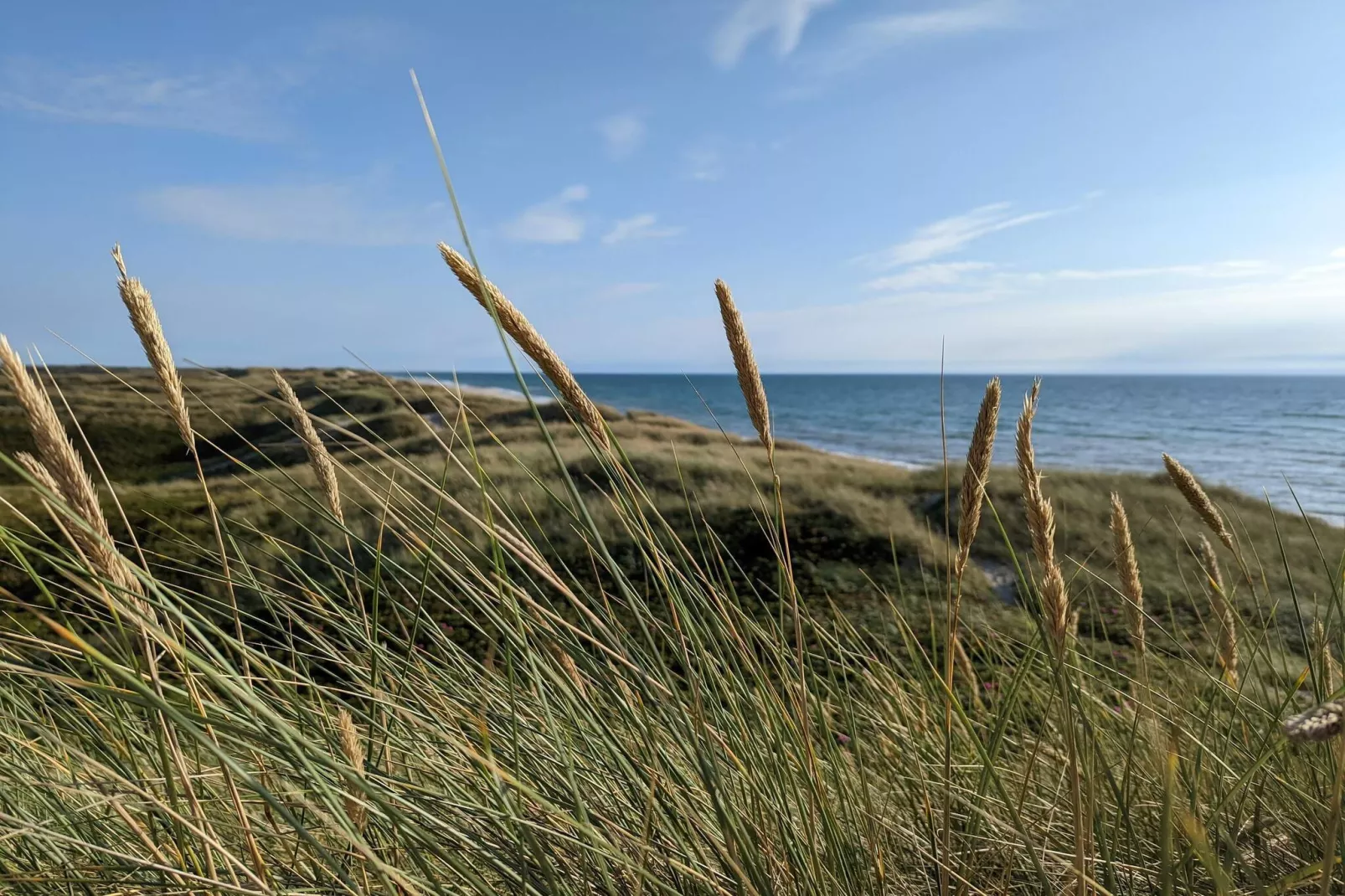 6 person holiday home in Ulfborg