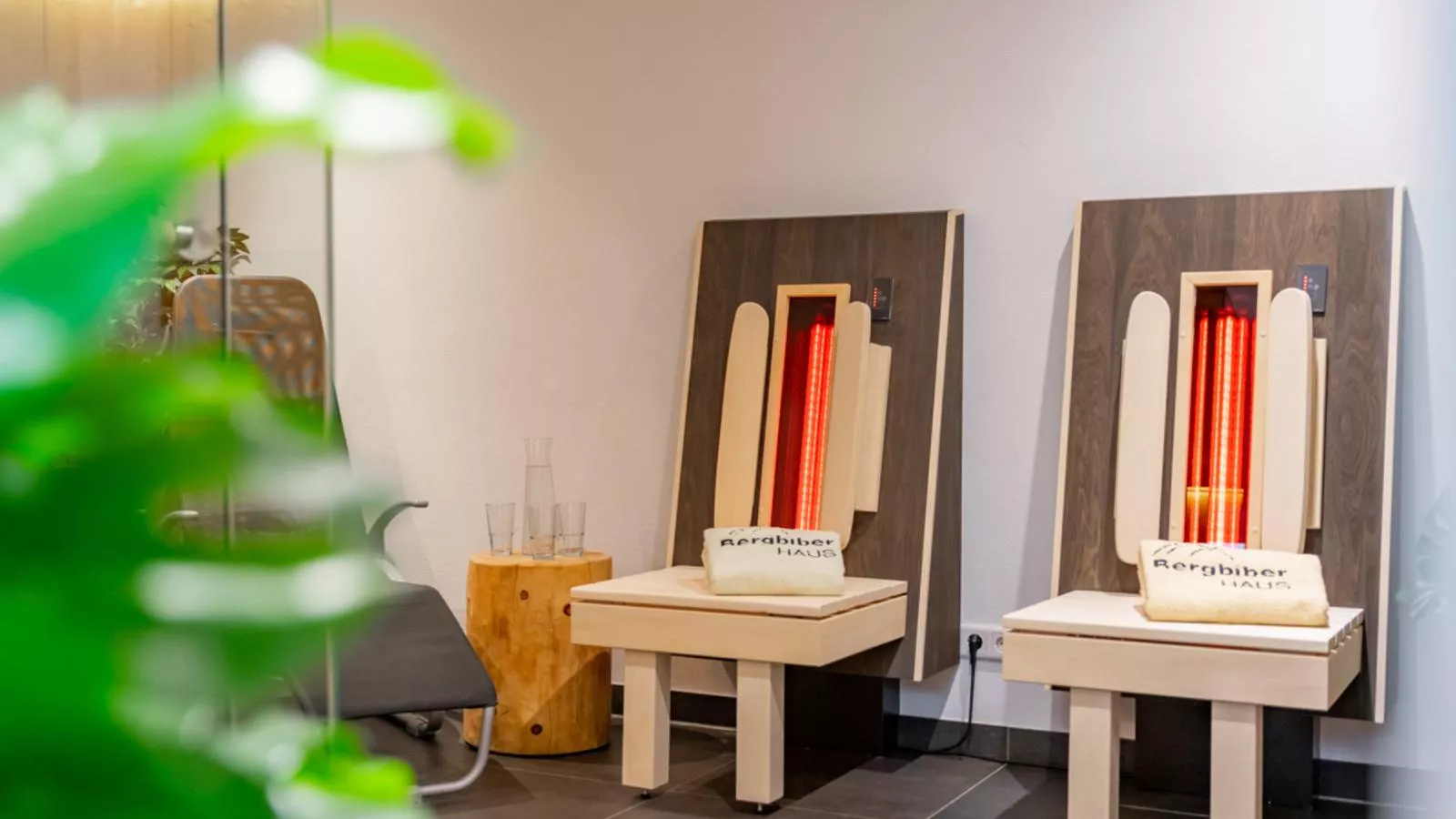 BergbiberHAUS Top A-Sauna