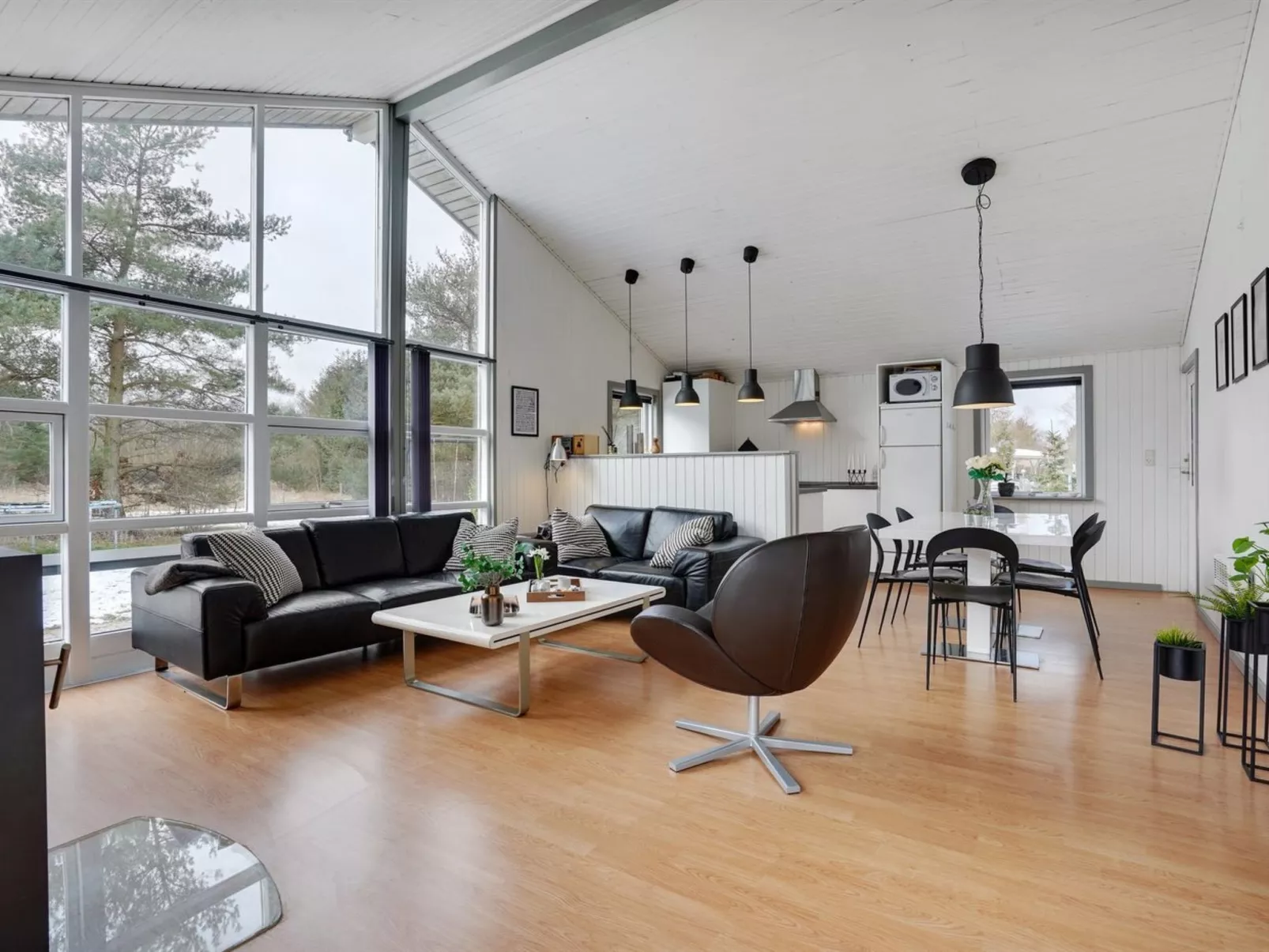 "Aiden" - 300m from the sea