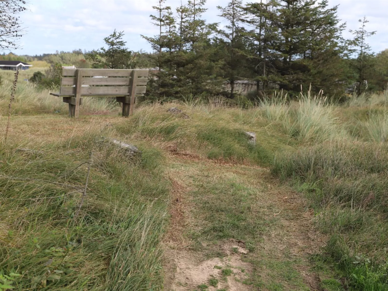 "Vanamo" - 300m from the sea