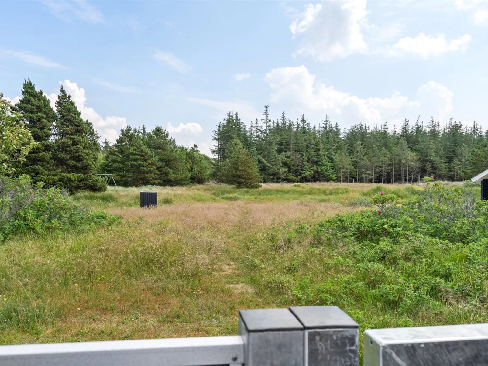 "Egbert" - 900m from the sea