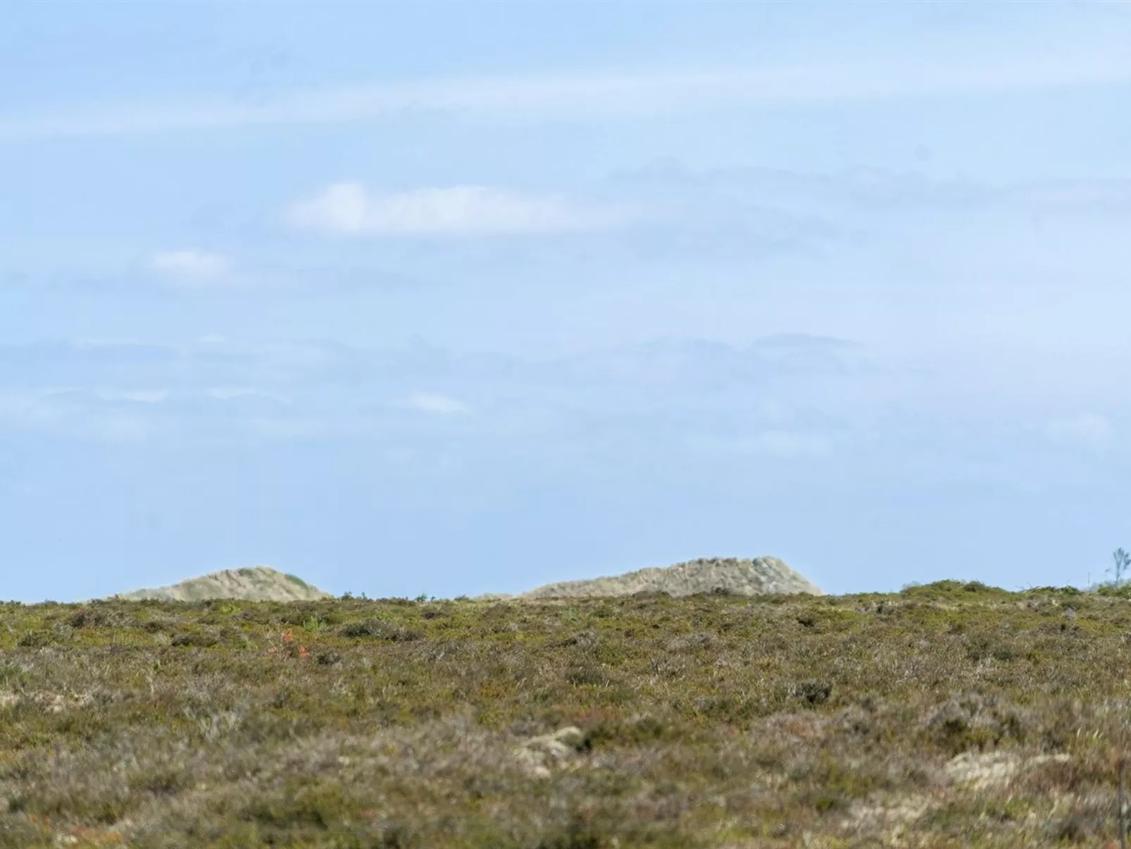 "Hrefna" - 350m from the sea