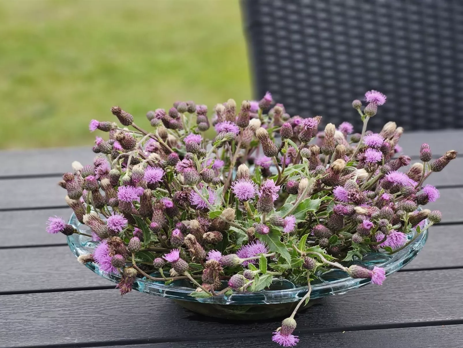 "Matthis" - 500m to the fjord