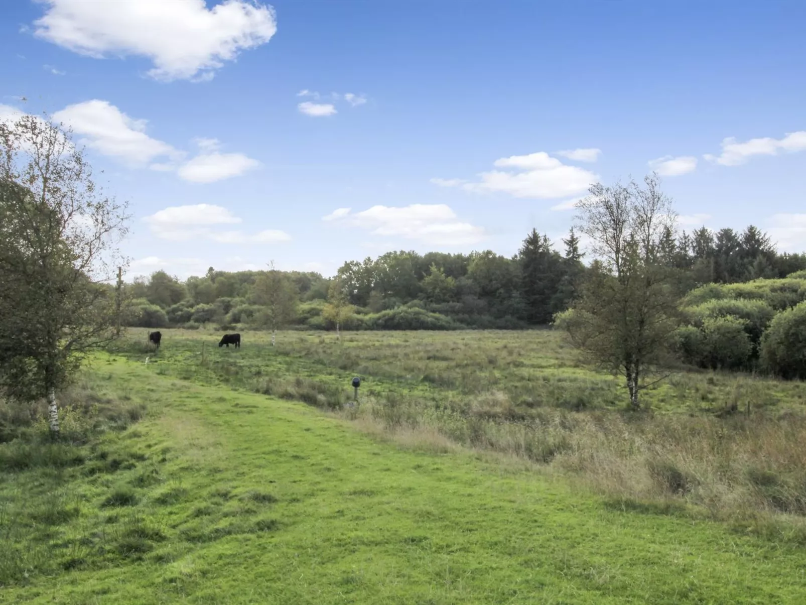 "Terese" - 45km from the sea