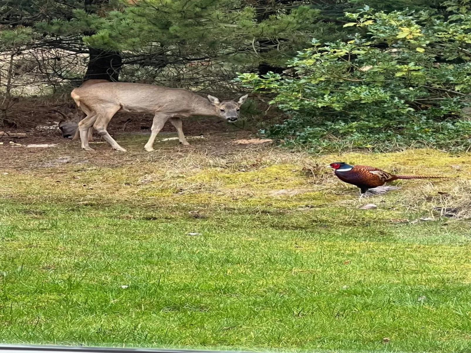 "Bogatin" - 1km from the sea