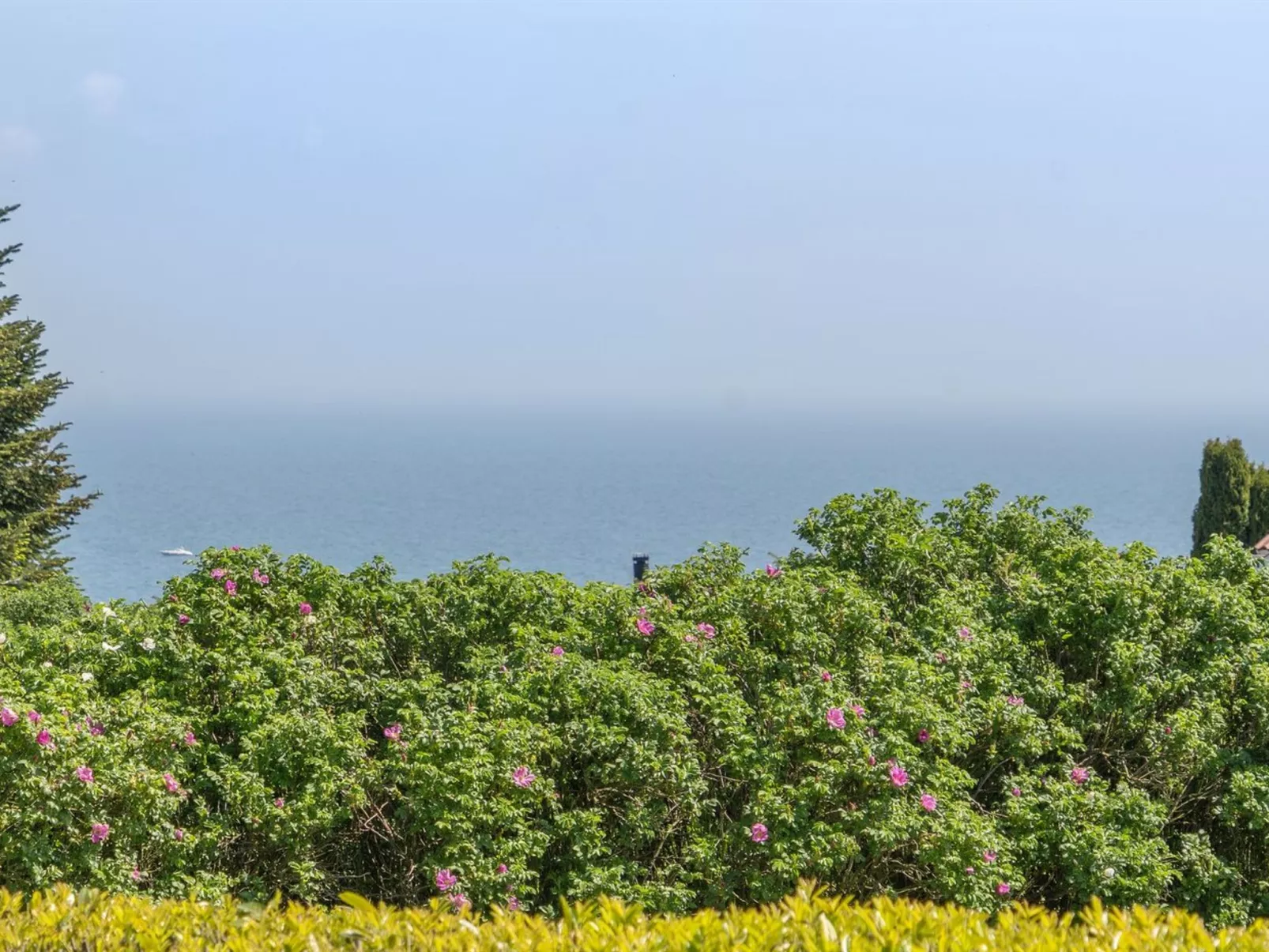 "Jarmericus" - 300m from the sea