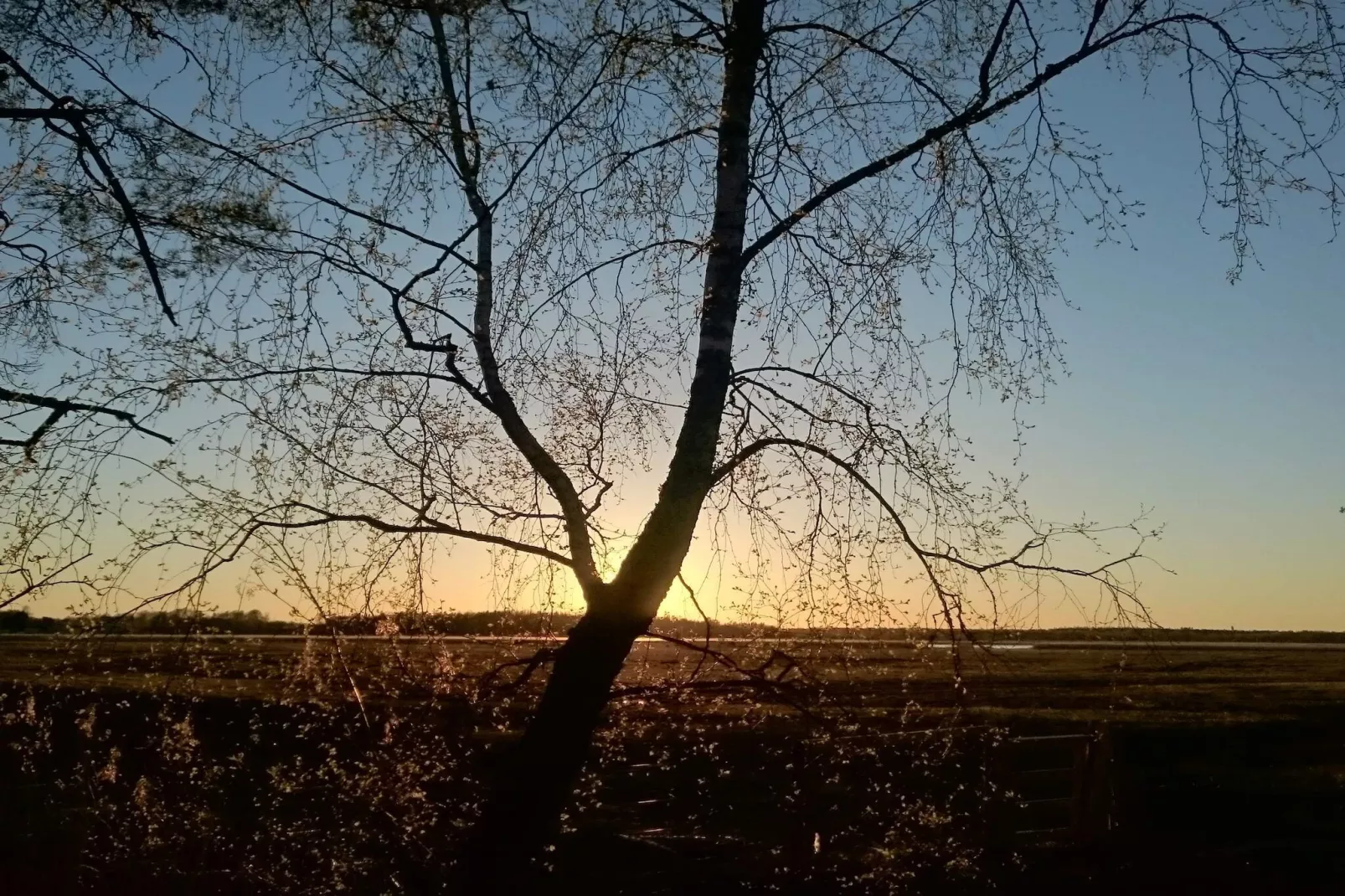 Maison de vacances pour 6 a HAMMARÖ-By Traum