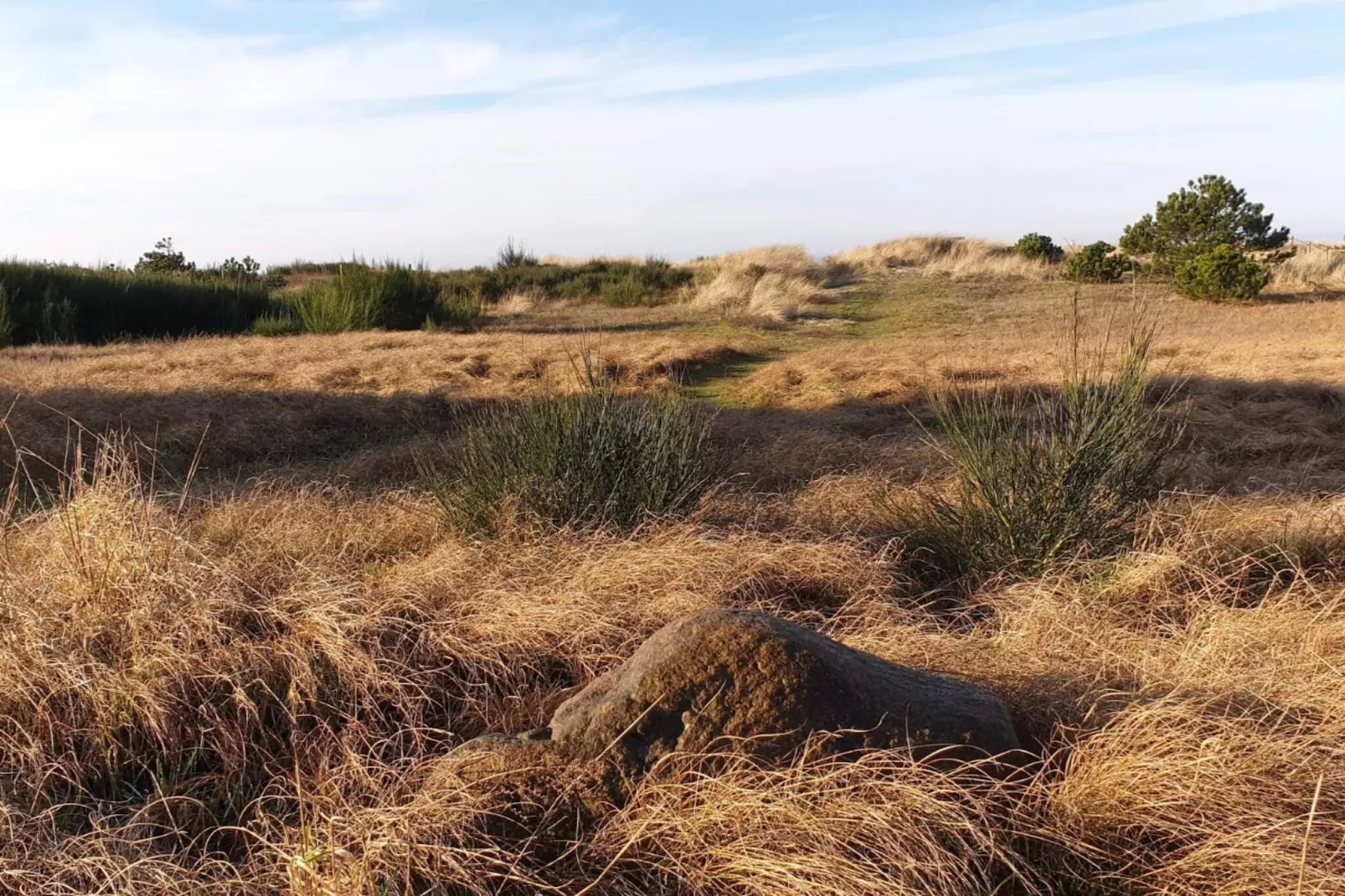 8 person holiday home in Store Fuglede-By Traum-Untagged