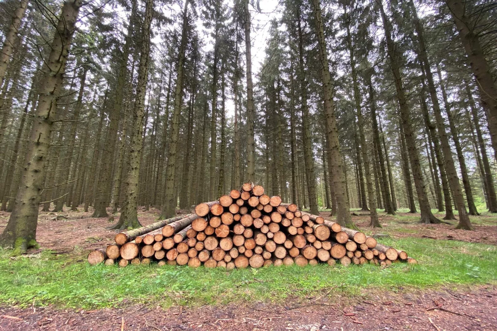 4 person holiday home in Østervrå-By Traum-Untagged