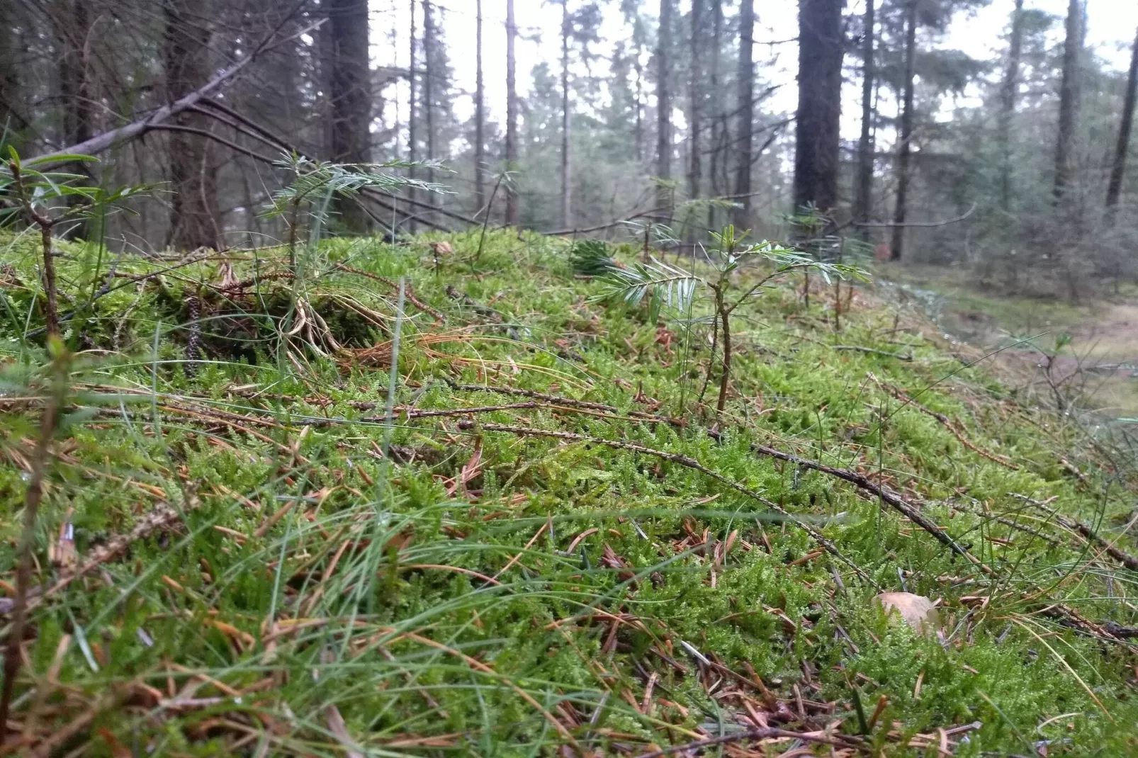 Luxus-Ruckzug mit Pool -- By Traum Ferienwohnungen