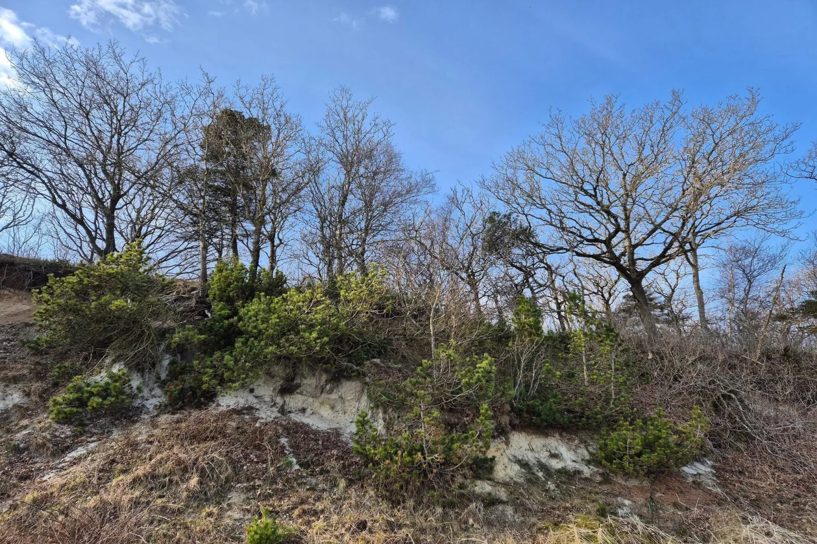 6 person holiday home in Thyholm-By Traum-Untagged