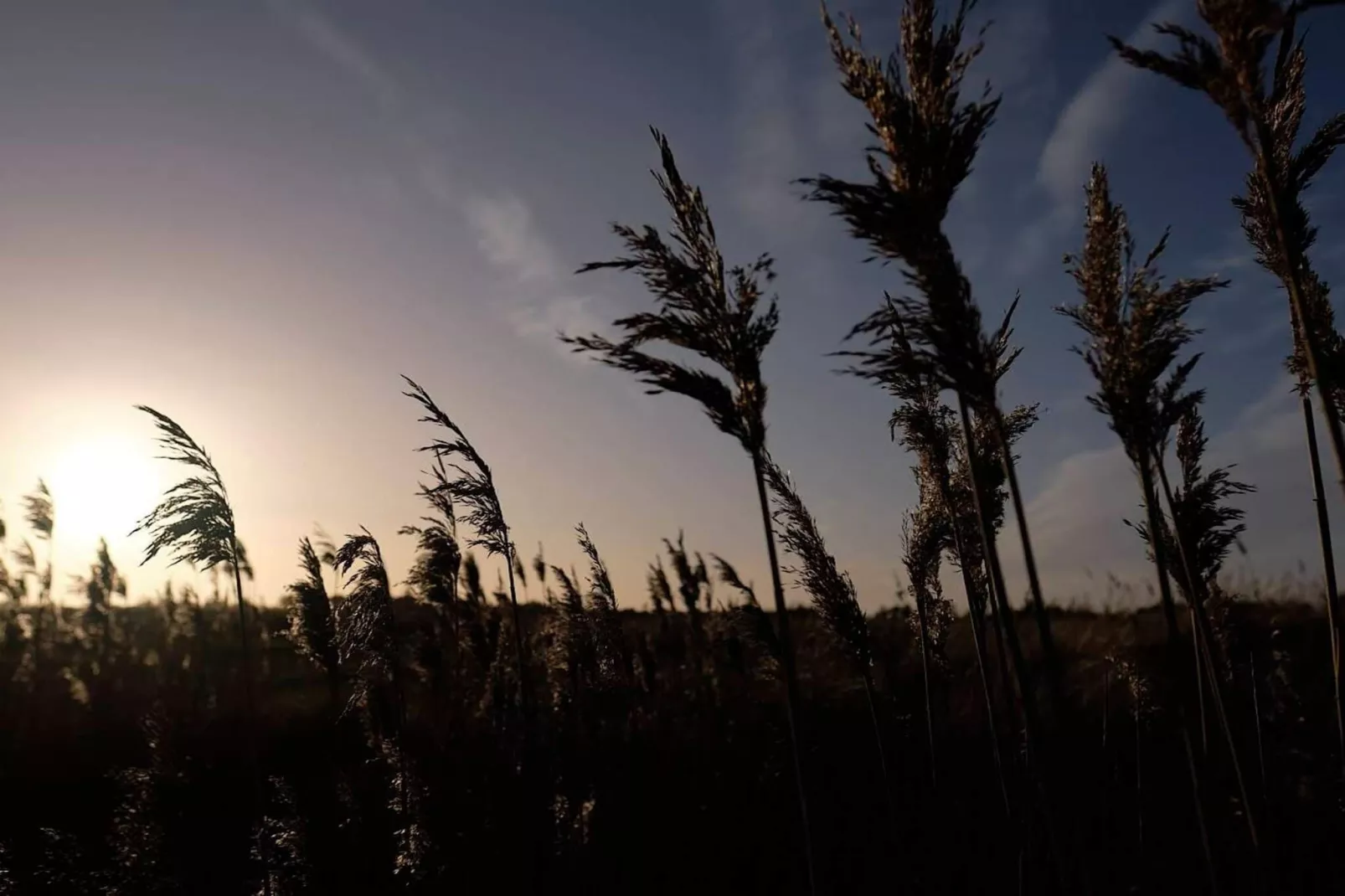 8 Personen Ferienhaus in Hals-By Traum-Nicht zugeordnet