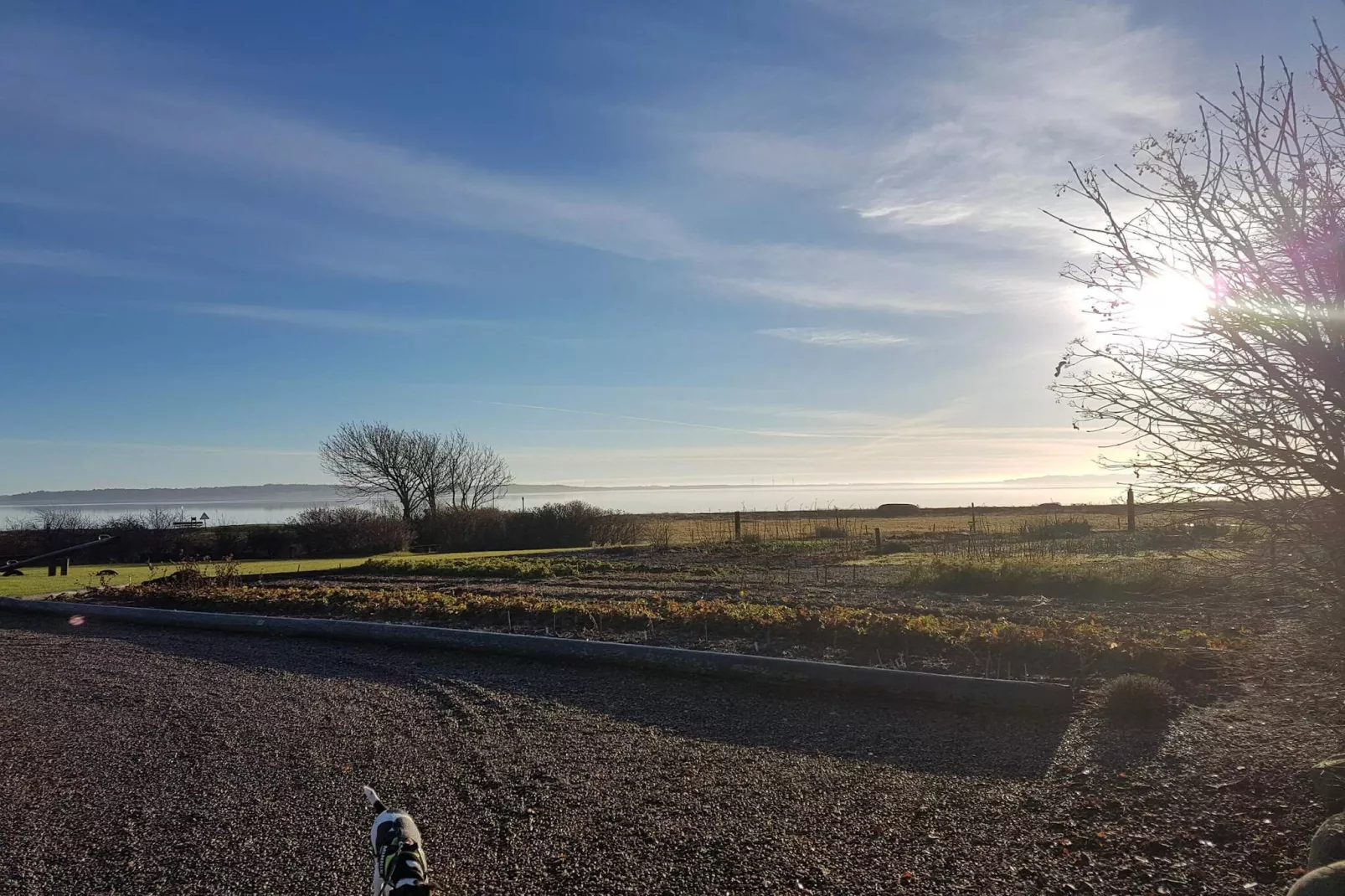 4 person holiday home in Thisted-By Traum-Untagged