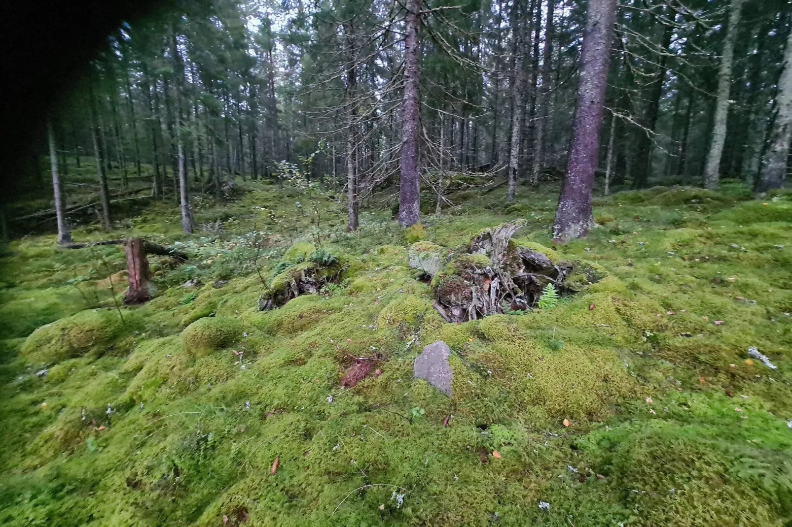 2 person holiday home in APLARED-By Traum-Untagged