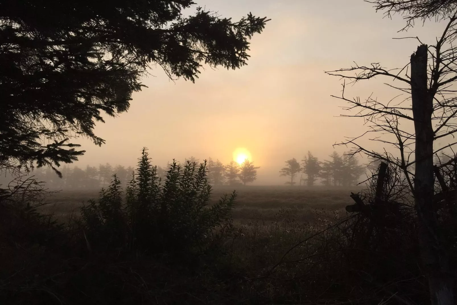 5 person holiday home in Ulfborg-By Traum