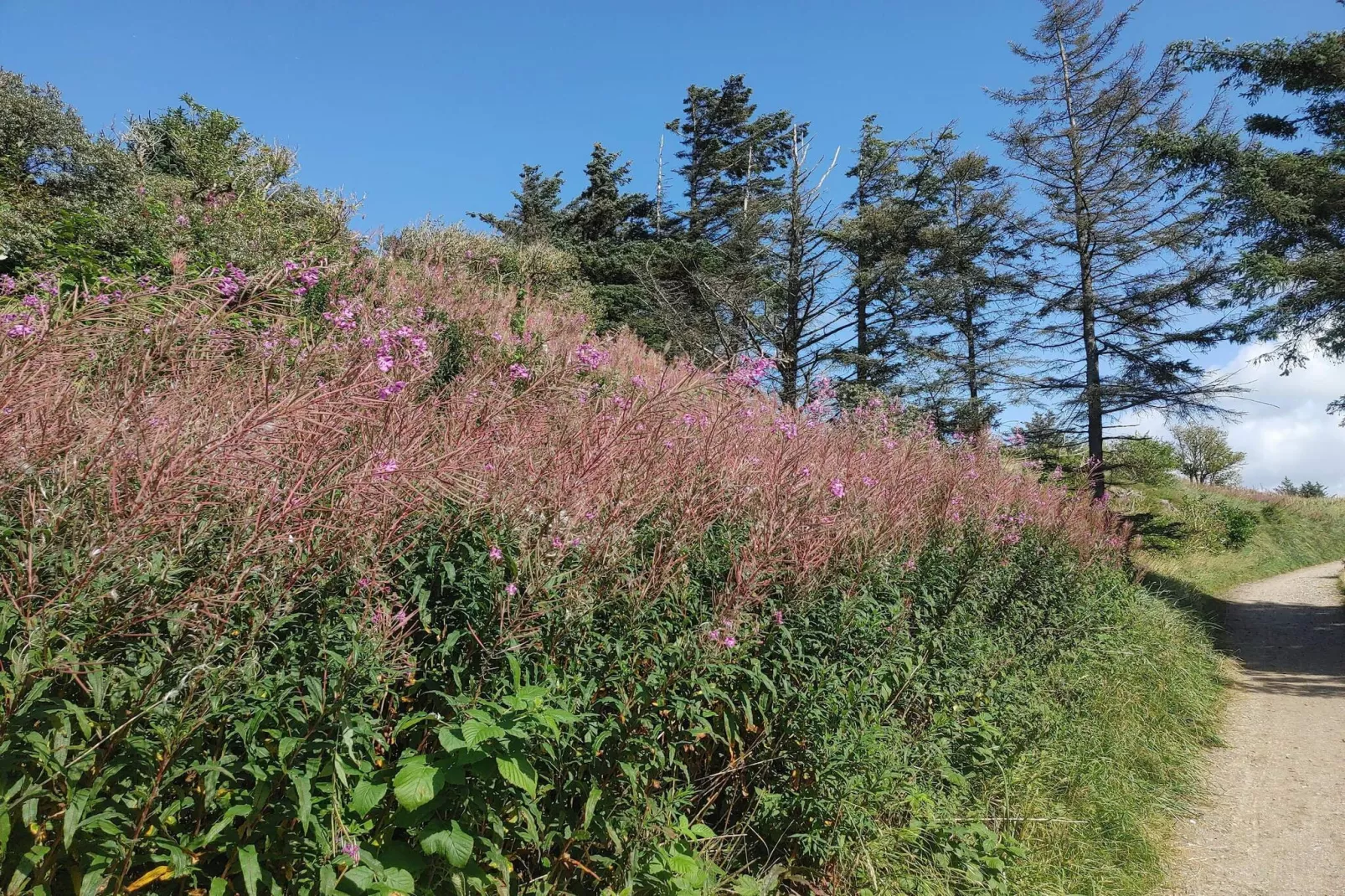 6 Personen Ferienhaus in Hjørring