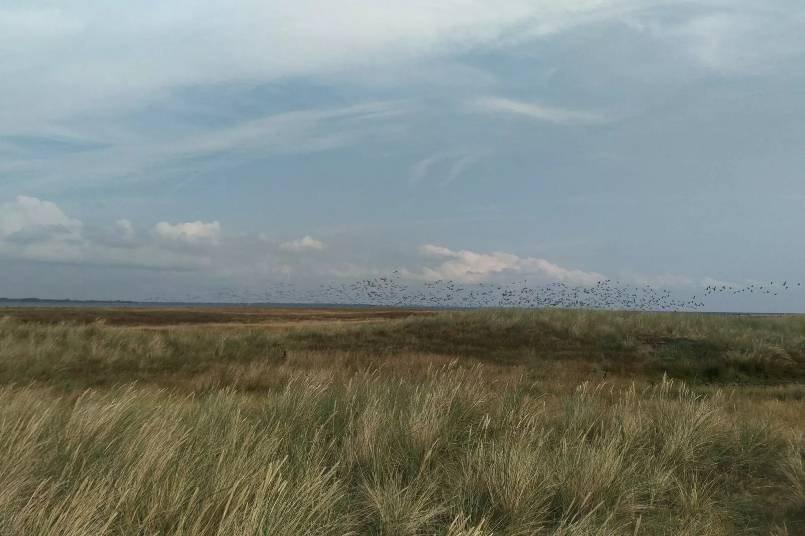 4 Personen Ferienhaus in Rødby-By Traum