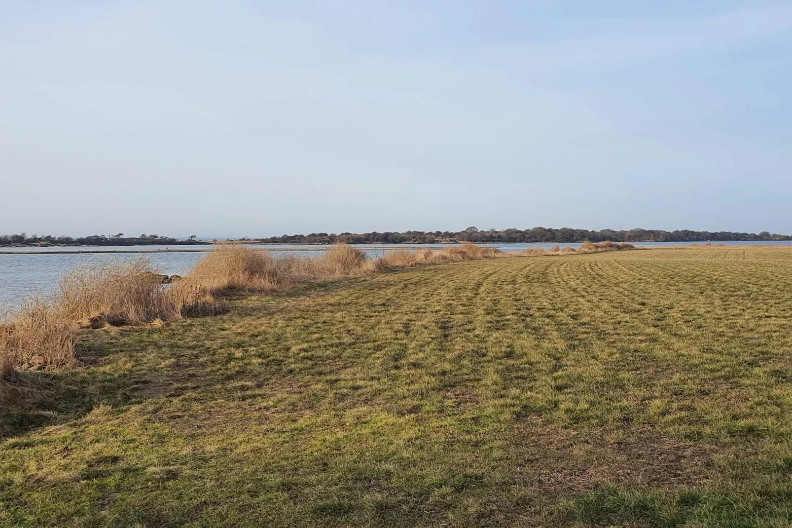 6 Personen Ferienhaus in Guldborg-By Traum