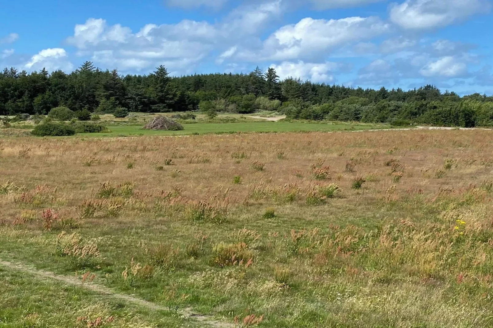 5 Personen Ferienhaus in Løkken-By Traum