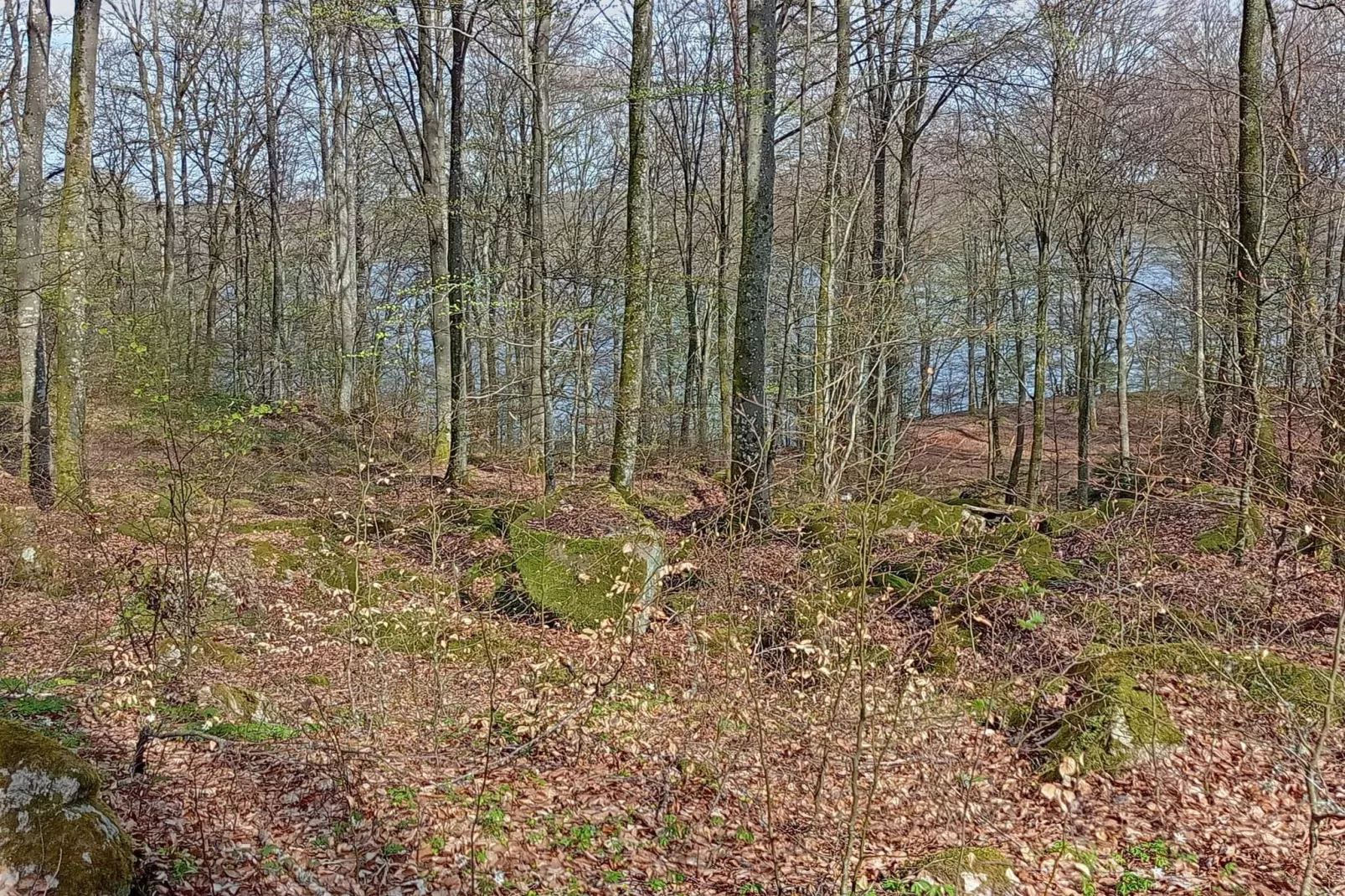 Maison de vacances pour 6 a Olofström-By Traum-Non tagué